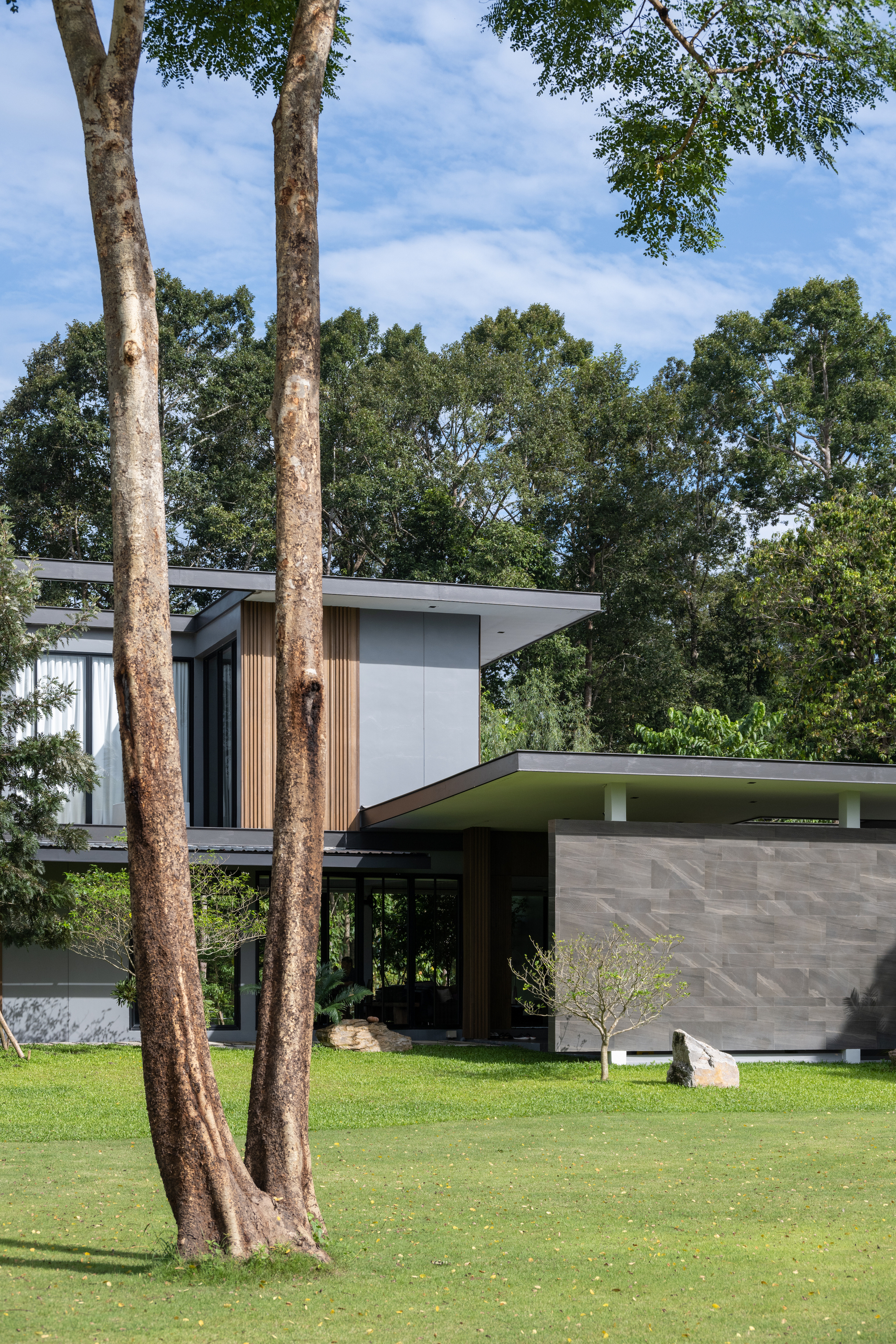 Two-story volume with vertical timber slats and cantilevered roof seen between mature tree trunks