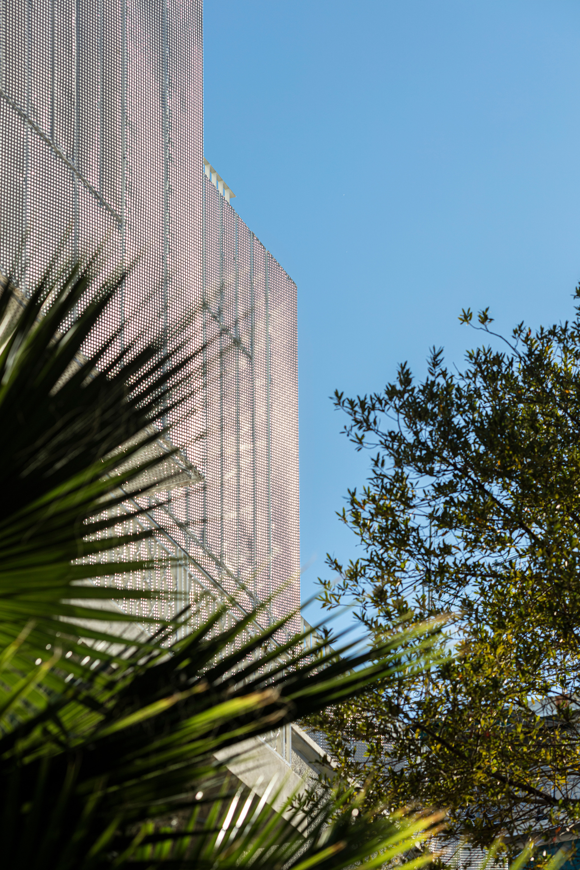 White perforated metal facade rising above palm fronds and surrounding foliage under a clear blue sky