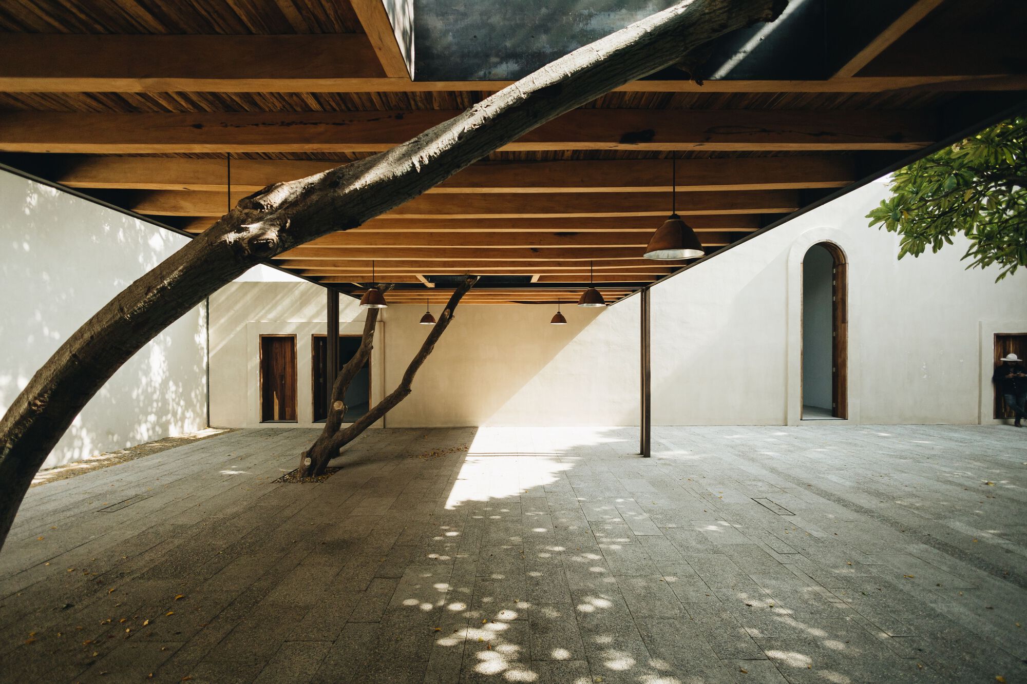 Covered courtyard with exposed timber ceiling beams and a preserved tree trunk under dappled sunlight