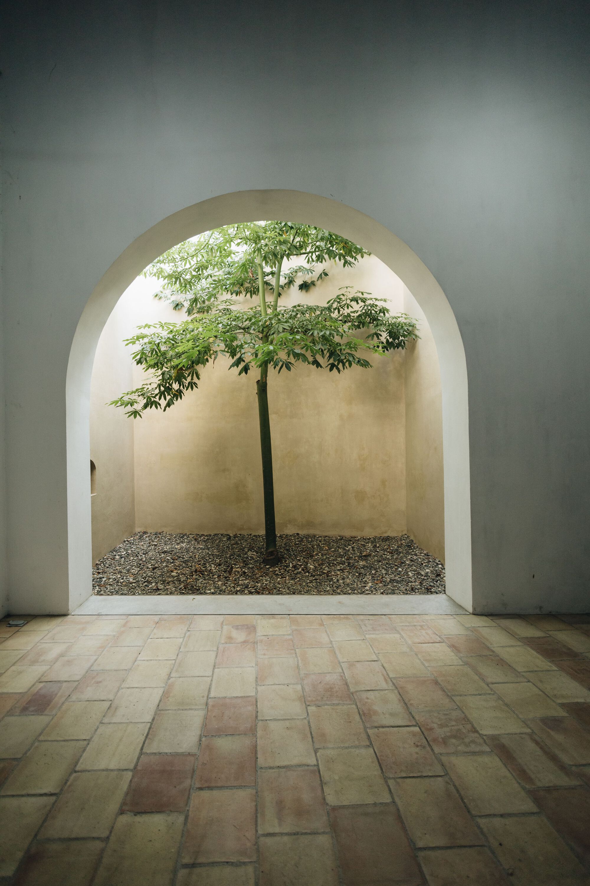 Arched opening framing a small tree in gravel within a white plastered courtyard alcove