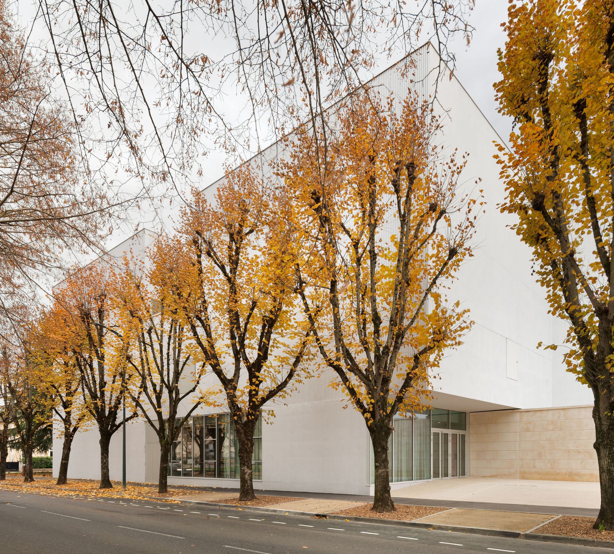 Street view of the white facade behind a row of golden autumn trees