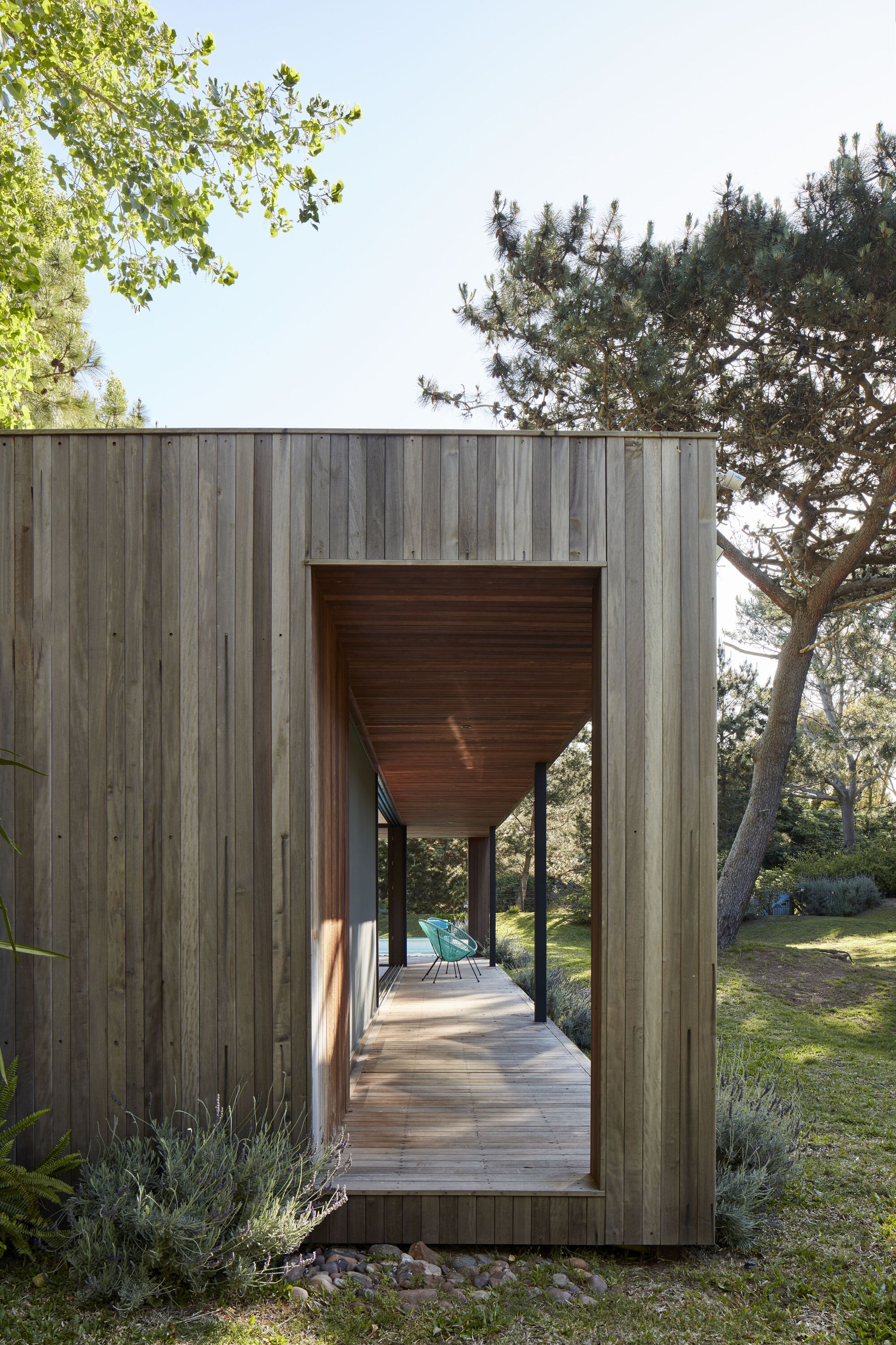 Vertical timber cladding framing a covered entry passage with wood-lined soffit