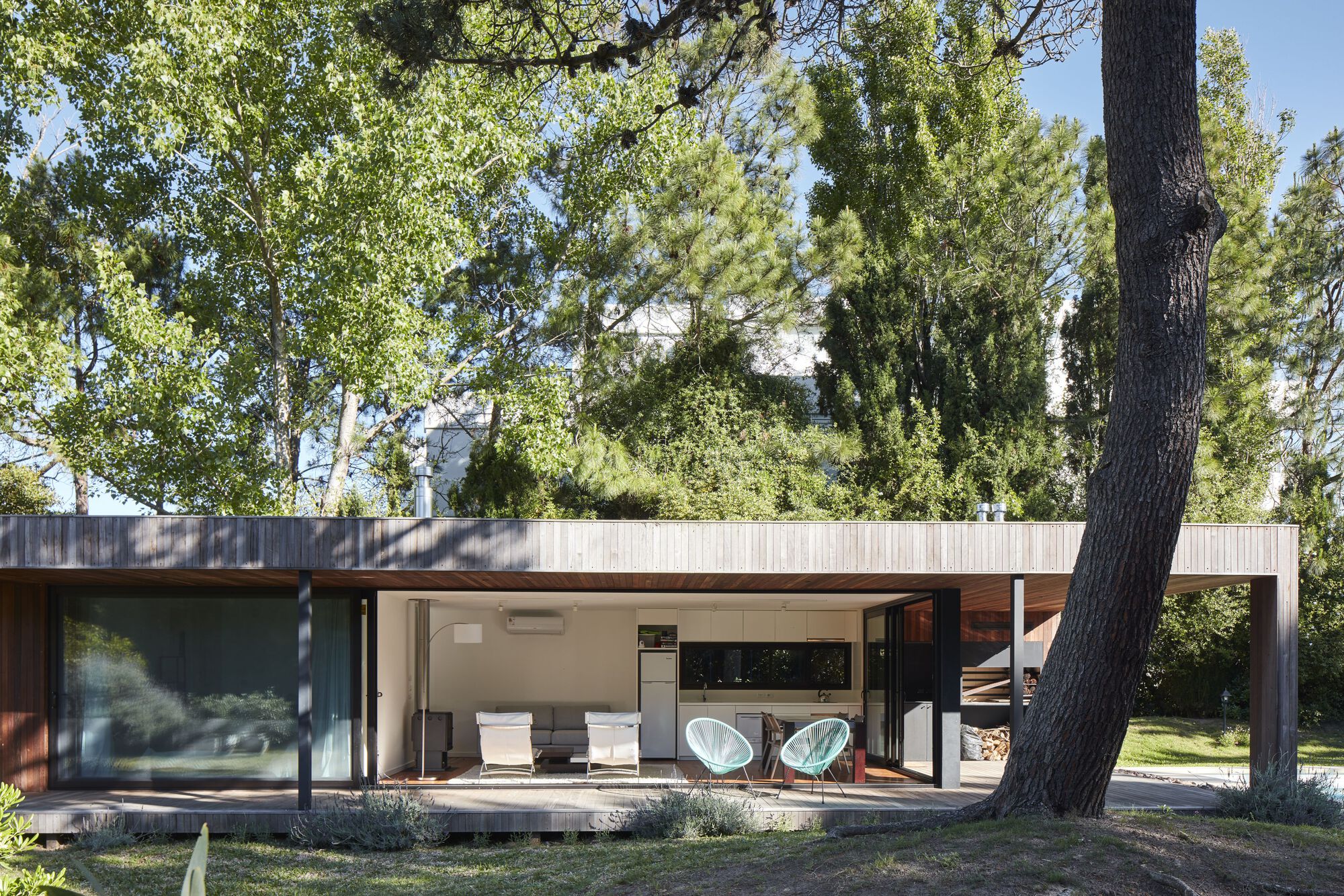 Timber-clad facade with covered terrace beneath existing pine trees in dappled afternoon light