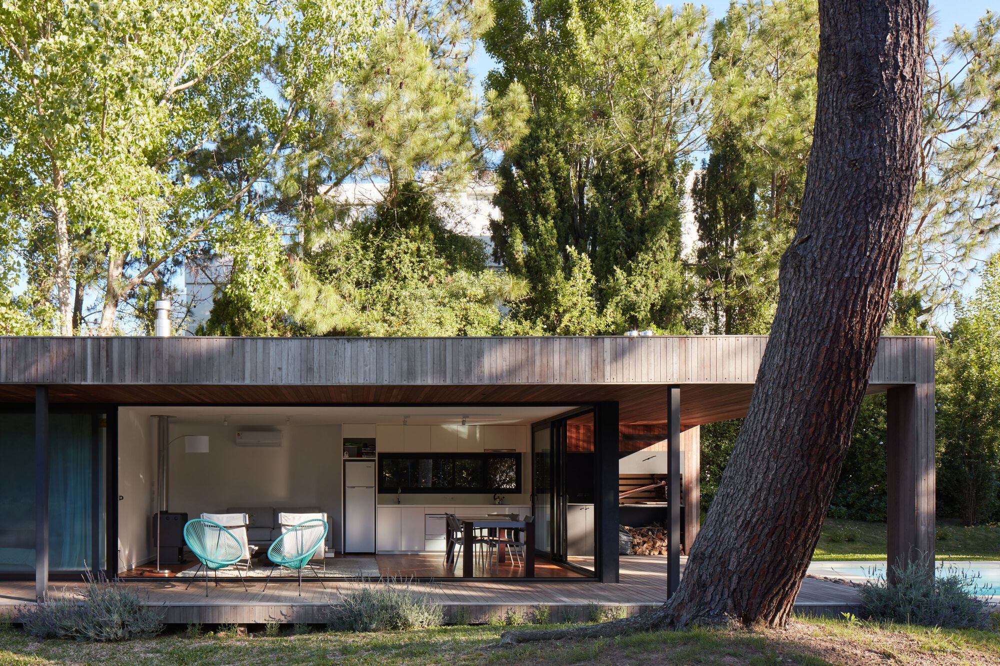 Open pavilion with wood deck and glass walls nestled among mature trees and grasses