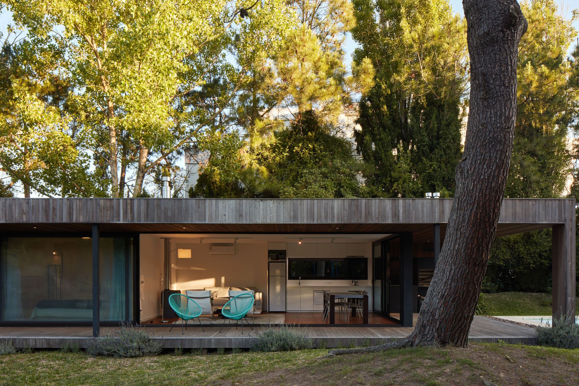 Glazed living volume with interior lighting visible at dusk beneath a flat timber roof