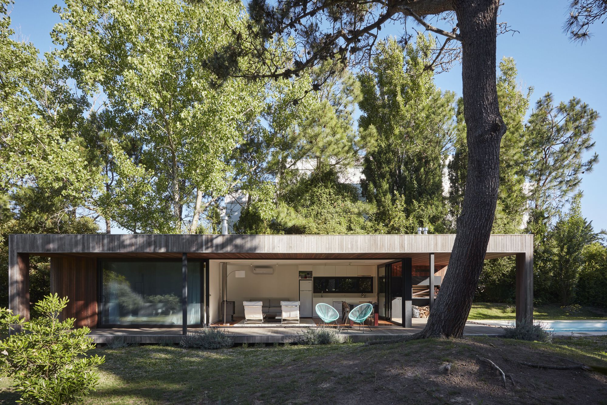 Horizontal volume with weathered timber cladding and recessed porch beneath dappled tree shade