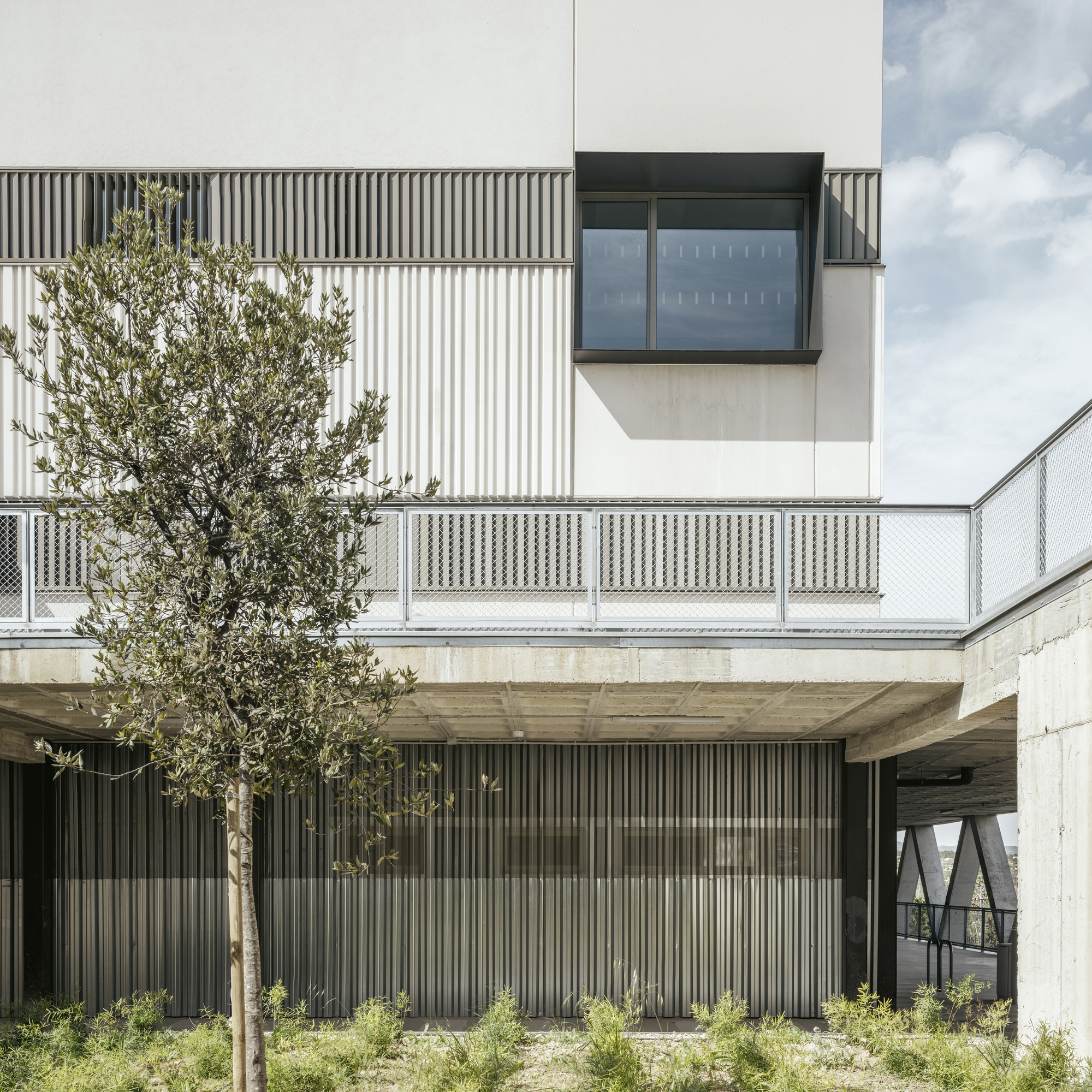 Vertically corrugated metal facade with planted olive tree and landscaped beds beneath concrete terrace