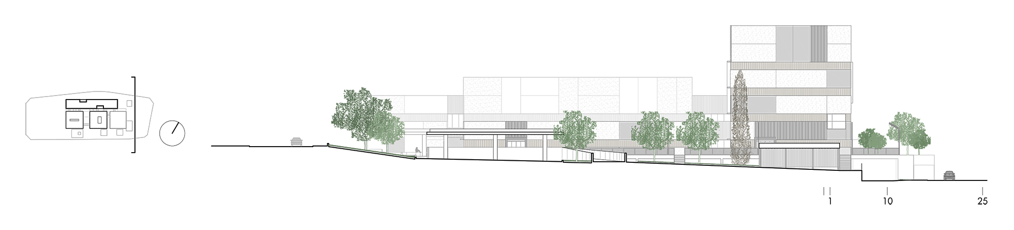 Section drawing showing horizontal building volumes with planted terraces and trees distributed across the composition