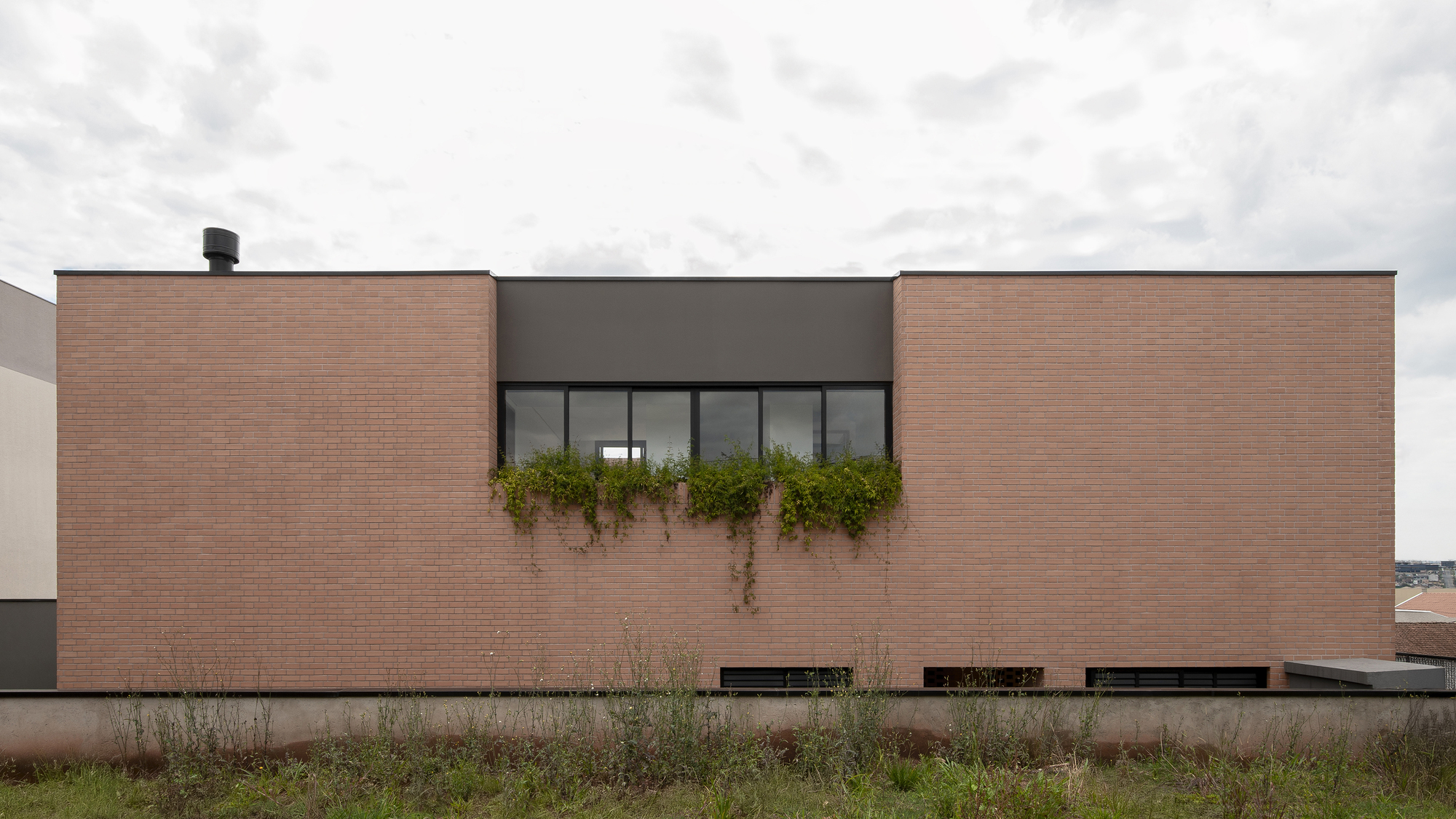 Rear elevation with continuous ribbon window, cascading vines, and green roof planting under overcast sky