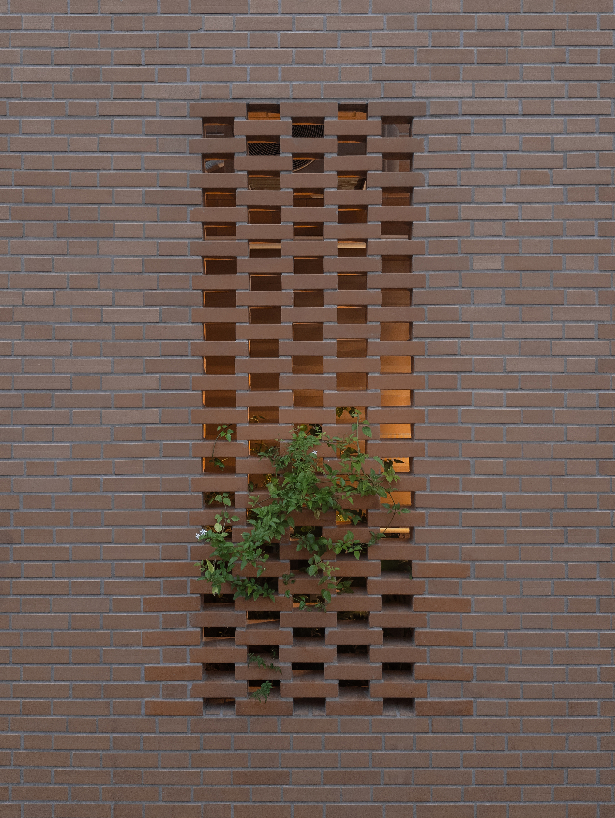 Perforated brick wall panel with climbing greenery growing through the openings at dusk