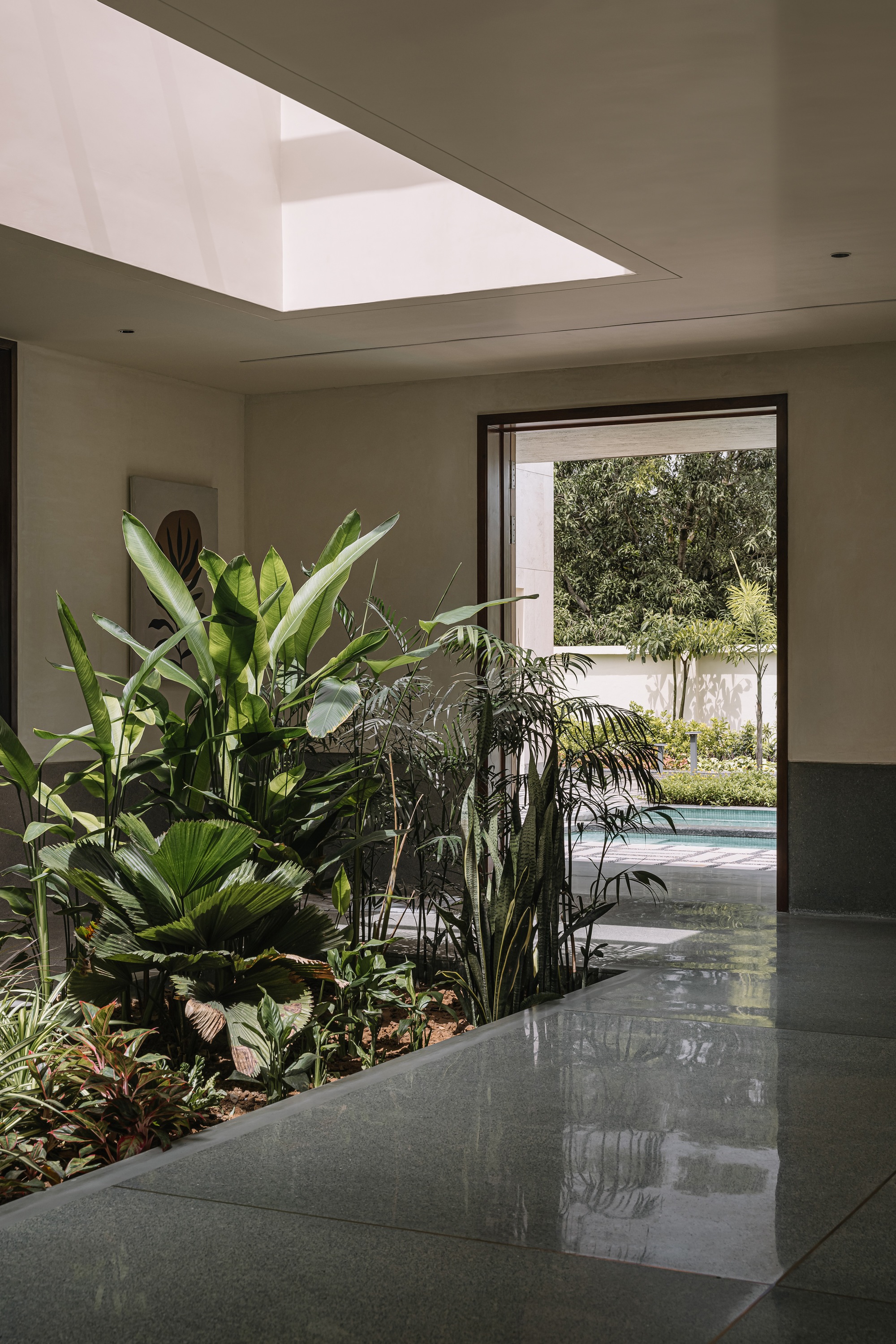 Interior planted bed beneath a ceiling skylight opening, viewed toward the pool