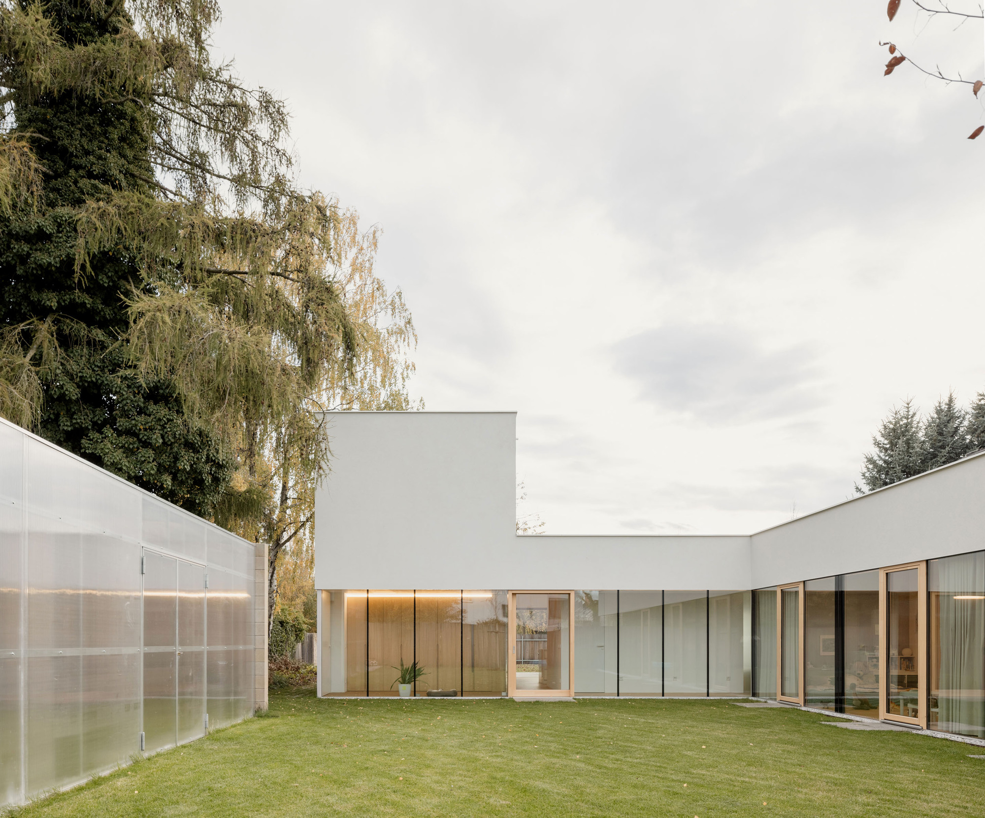 Private courtyard with translucent panel wall, lawn, and glazed living space framed by weeping willows
