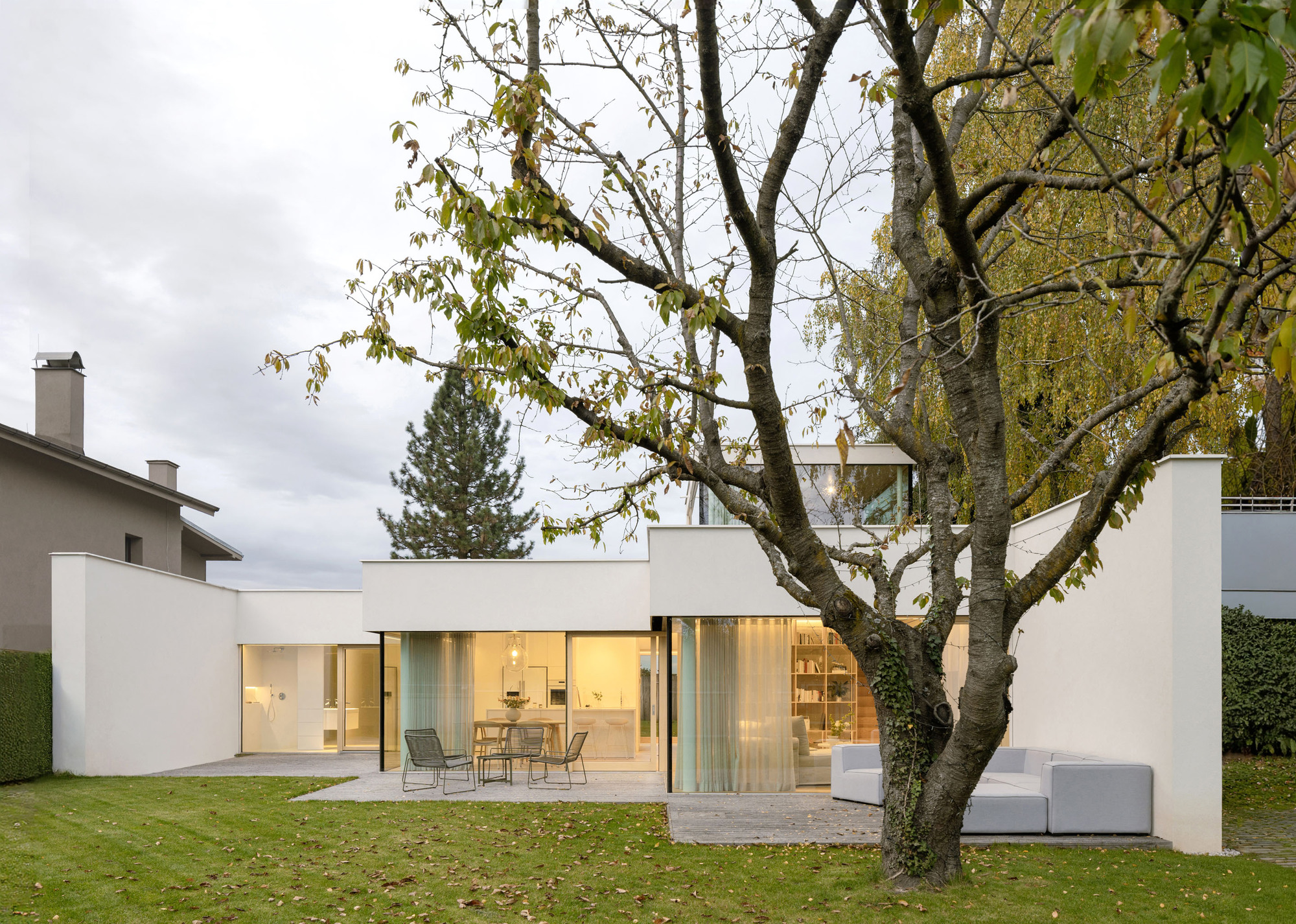 Garden facade with floor-to-ceiling glass walls beneath gnarled tree canopy at dusk with interior lights glowing