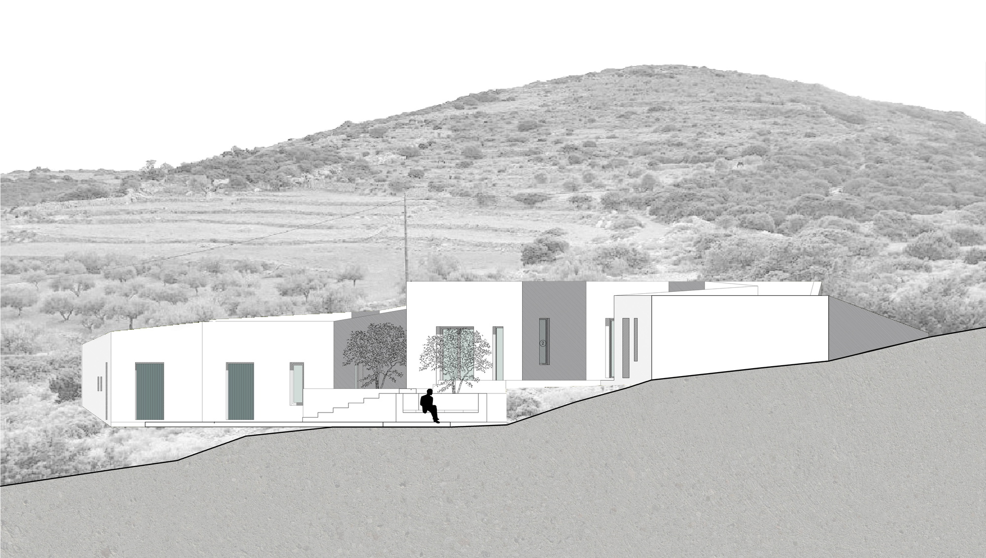 Elevation drawing depicting the white volumes with a figure walking past planted trees