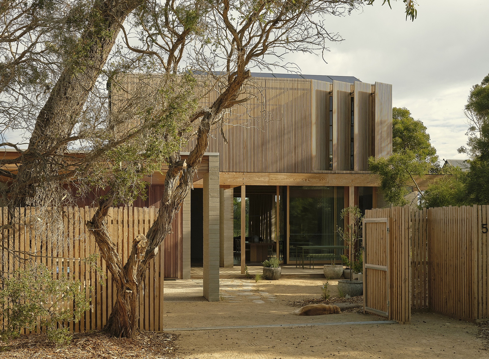 Timber-clad volume with vertical battens and covered entry courtyard framed by a mature eucalyptus tree