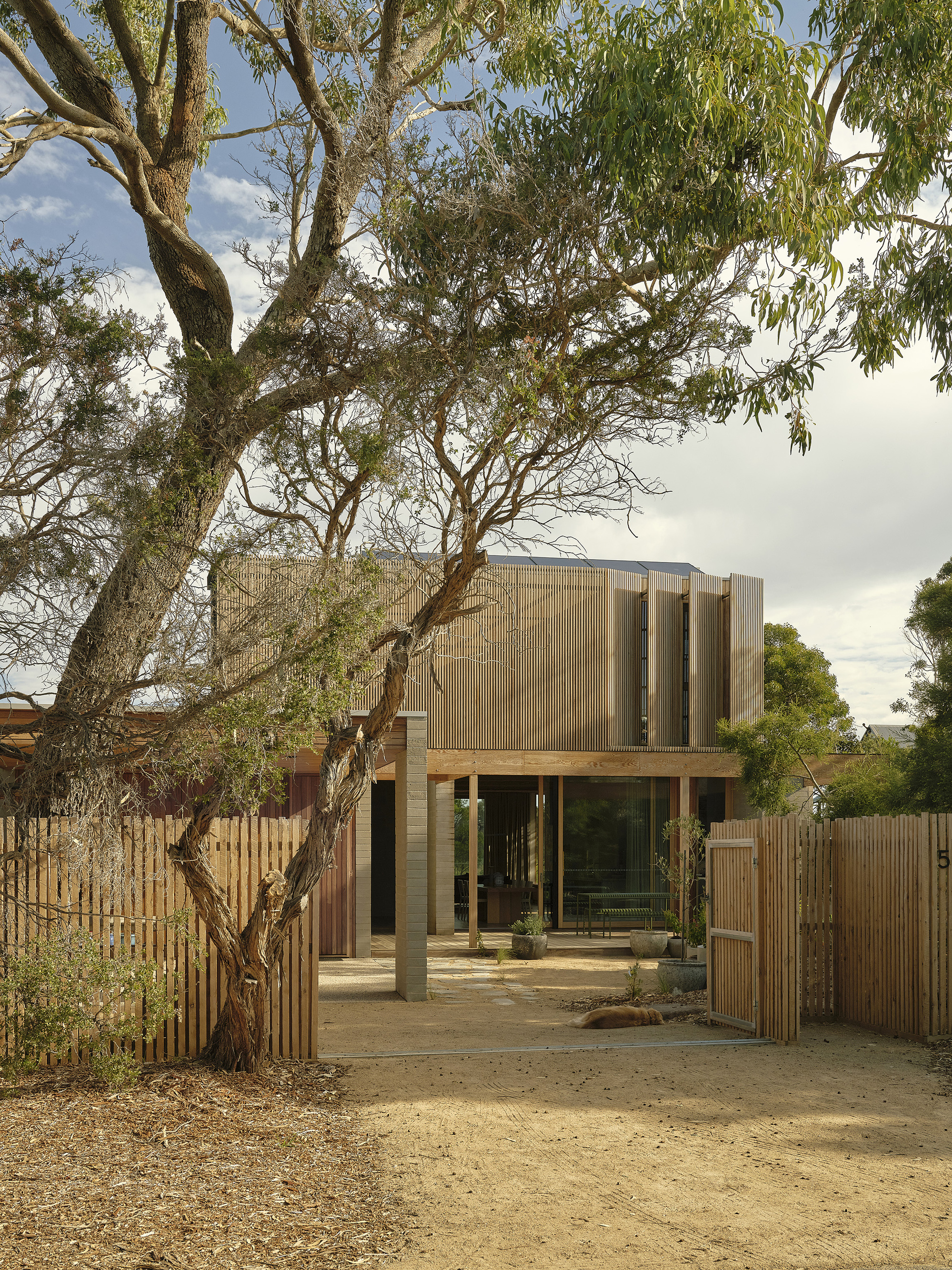 Two-storey timber screen facade with ground-level courtyard behind vertical slat fencing under overcast sky