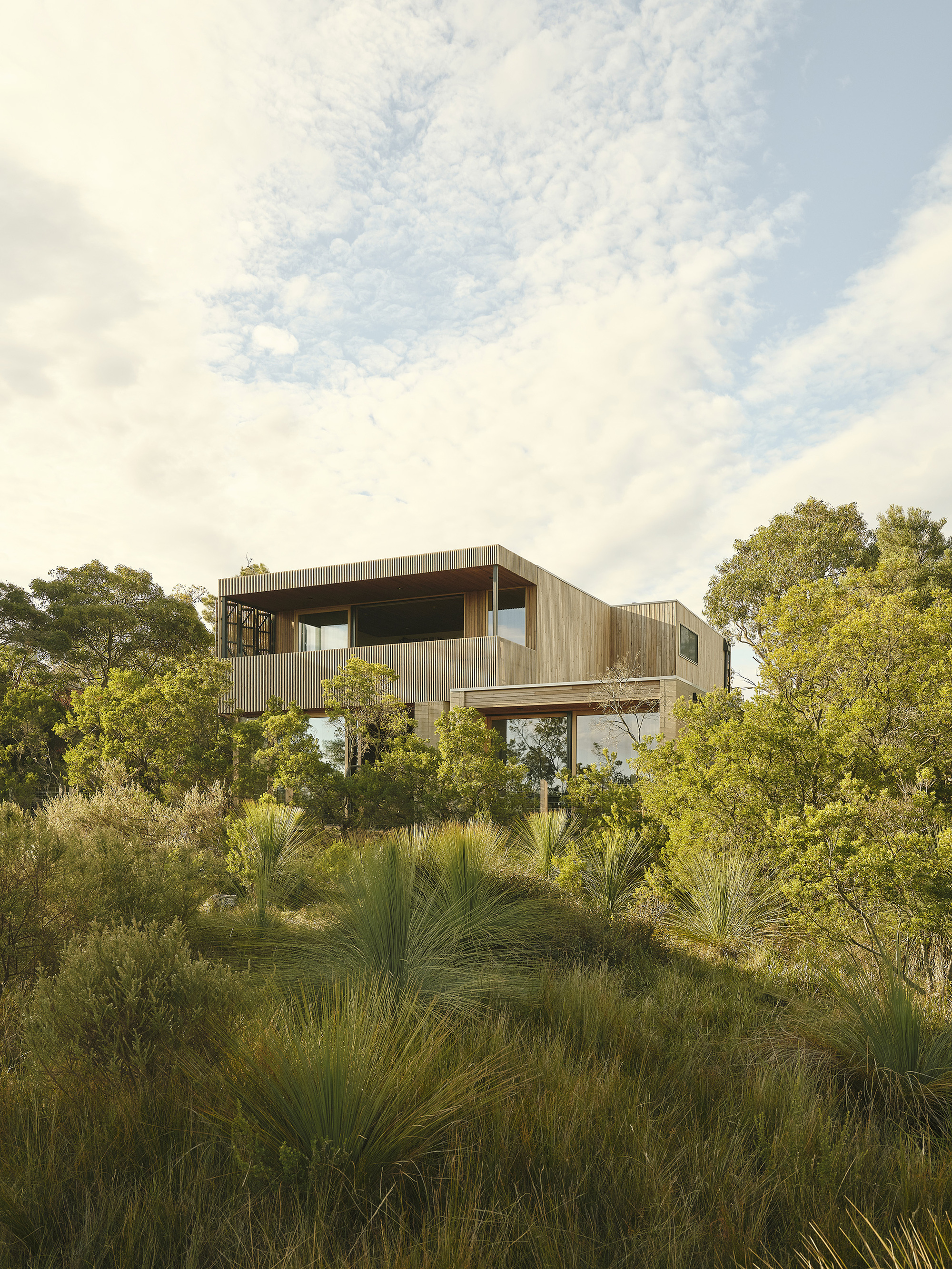 Elevated timber residence on steel columns rising above native grasses and coastal scrub vegetation
