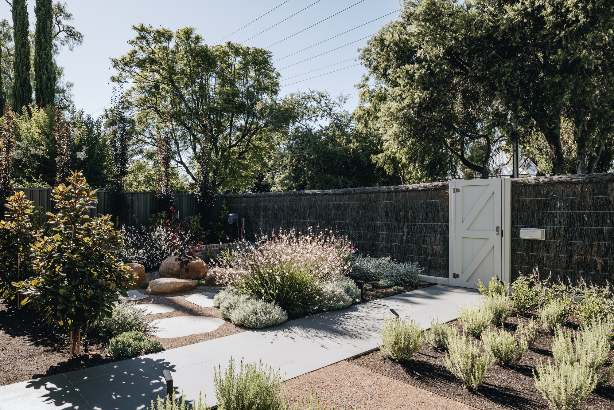 Garden path with planted beds of lavender and grasses leading to a white timber gate