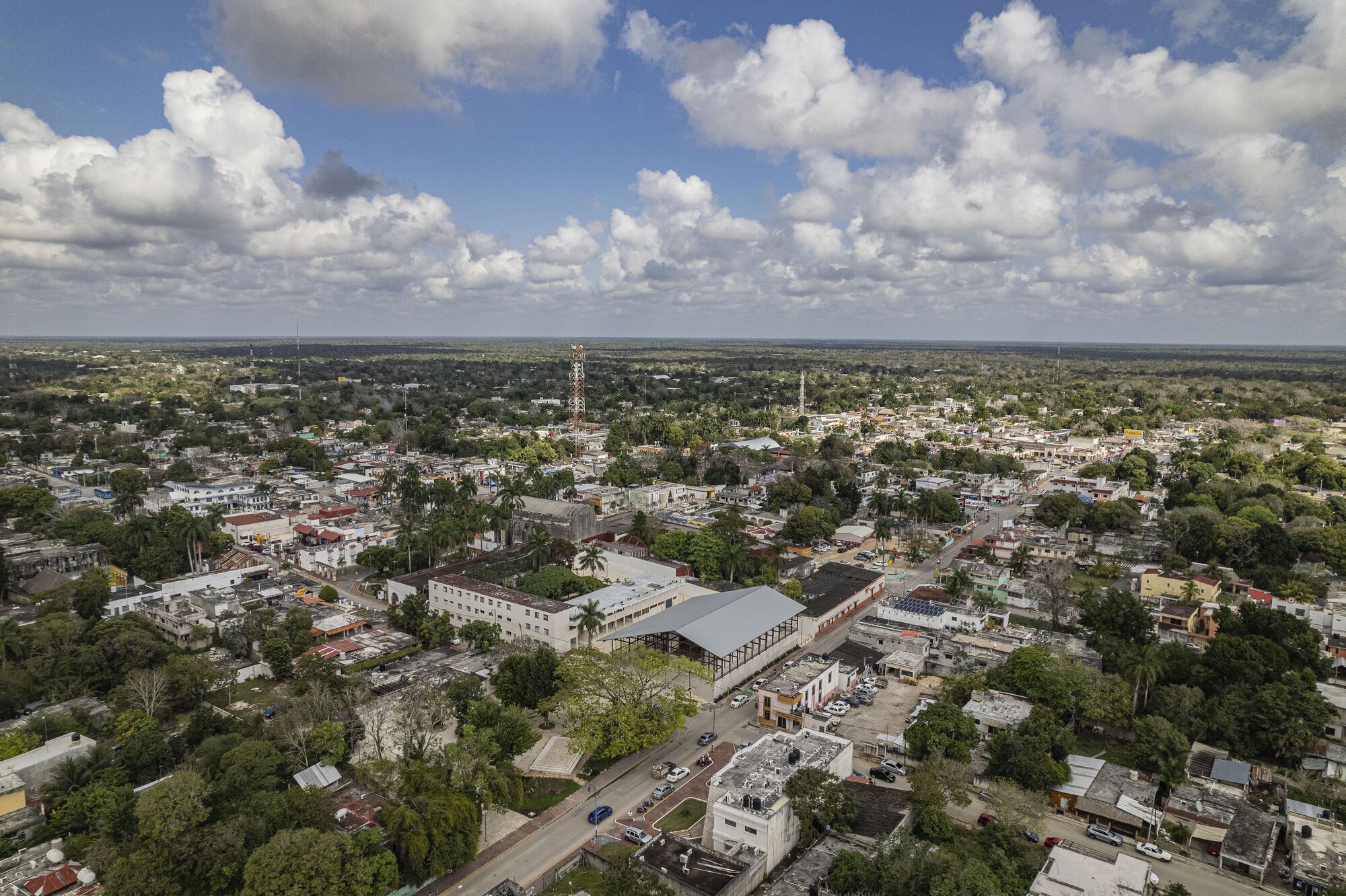 Aerial view of the broad gabled roof among low-rise buildings and dense tree canopy