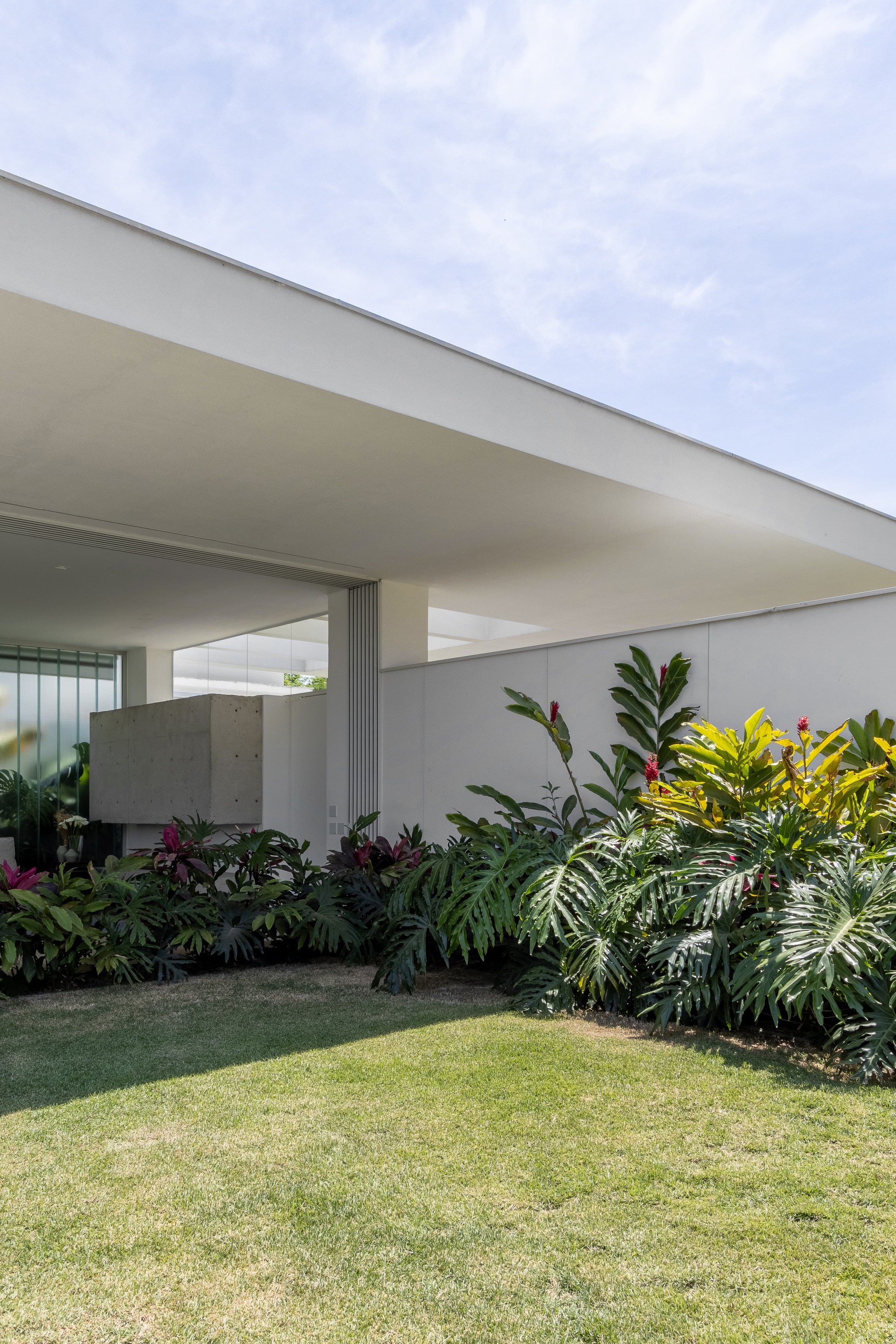 Covered terrace with concrete volume and planted bed of ferns and tropical foliage