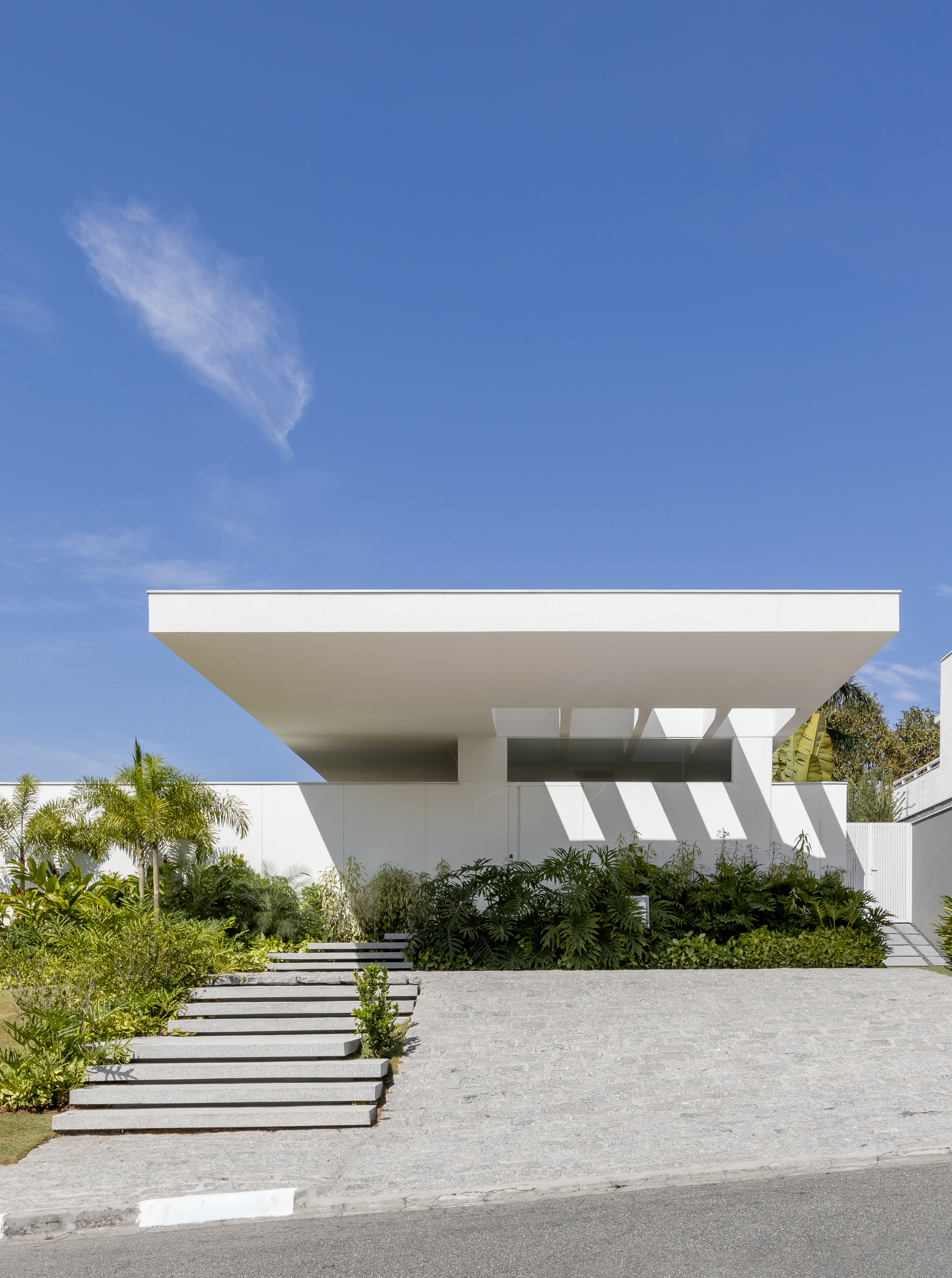 Street view of white cantilevered upper volume over stepped entrance path with palms and tropical planting