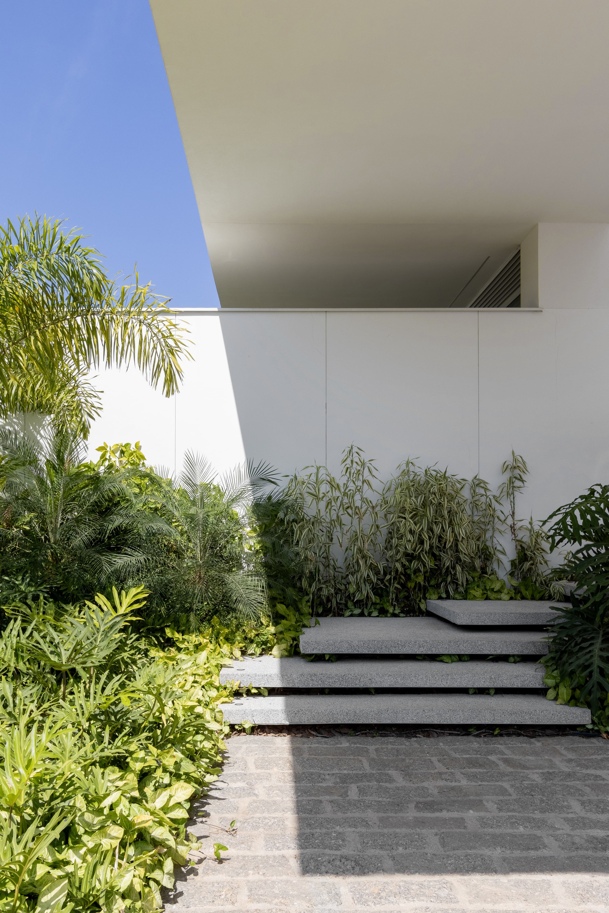Concrete entry steps flanked by bamboo and palms leading to a recessed white upper level