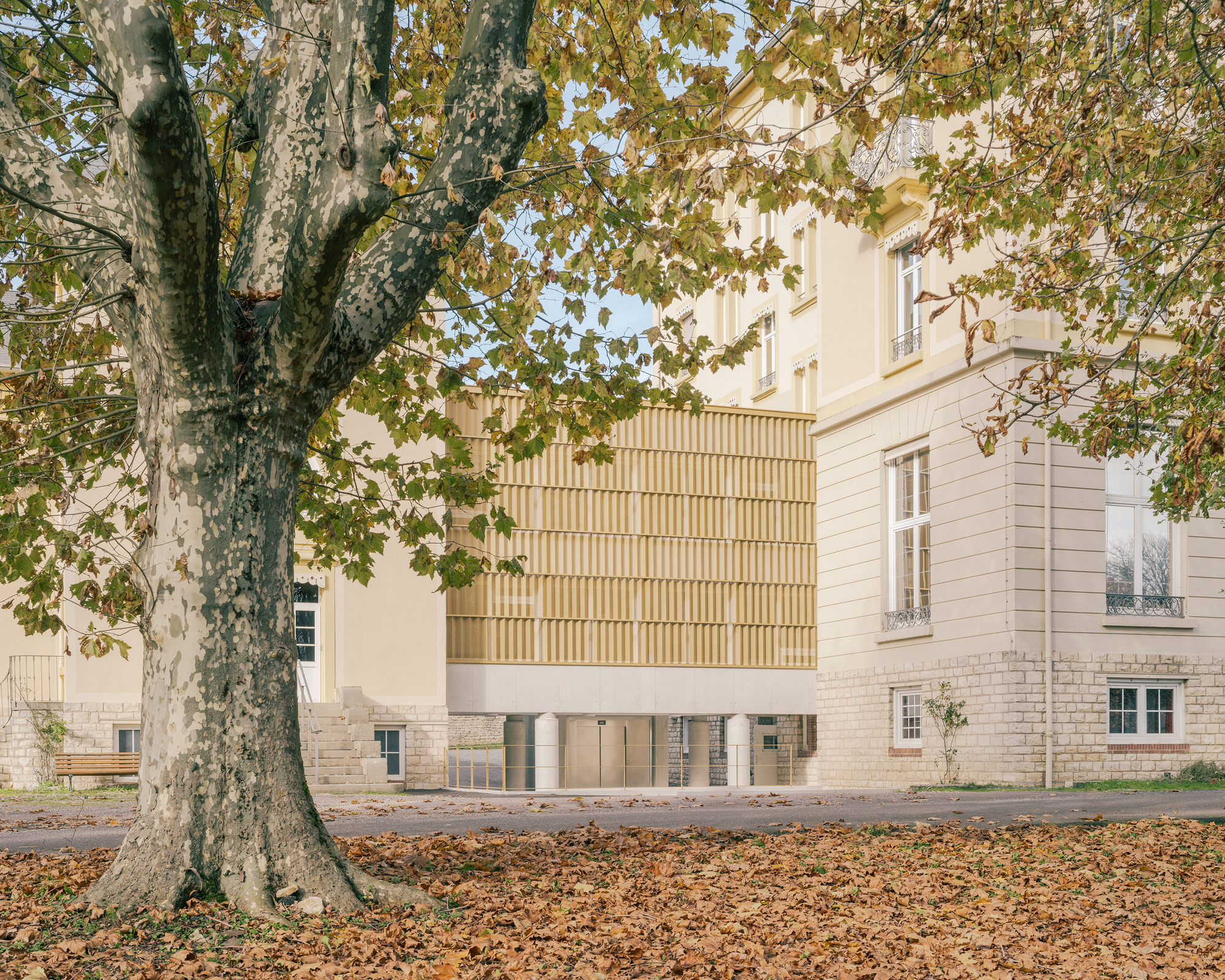 Elevated timber-clad volume on cylindrical columns beside a cream stucco facade framed by sycamore trees in autumn