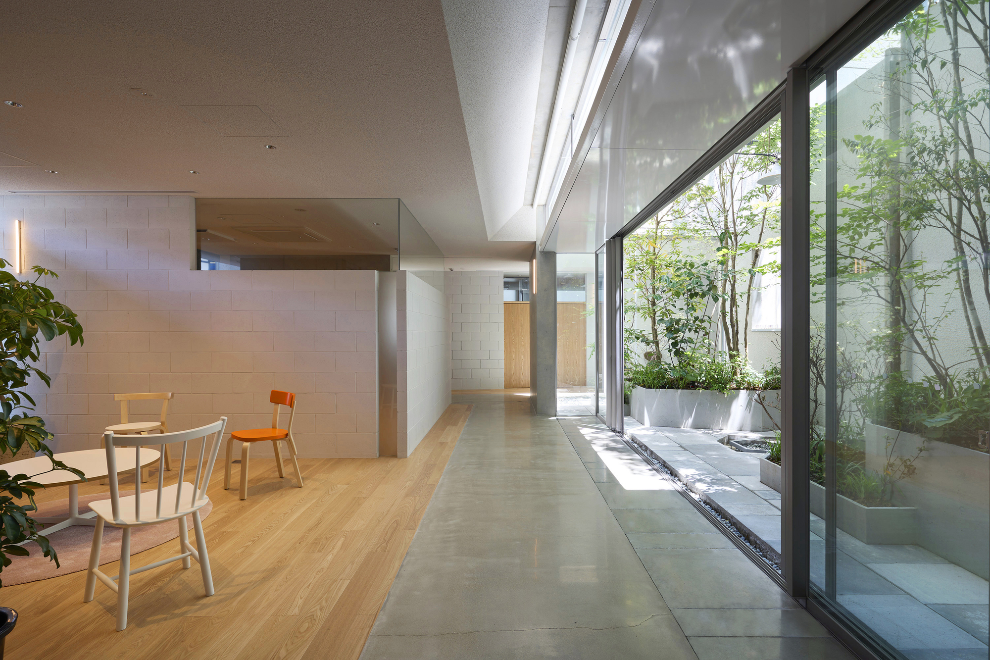 Interior corridor with polished concrete floor alongside full-height glazing overlooking a planted courtyard