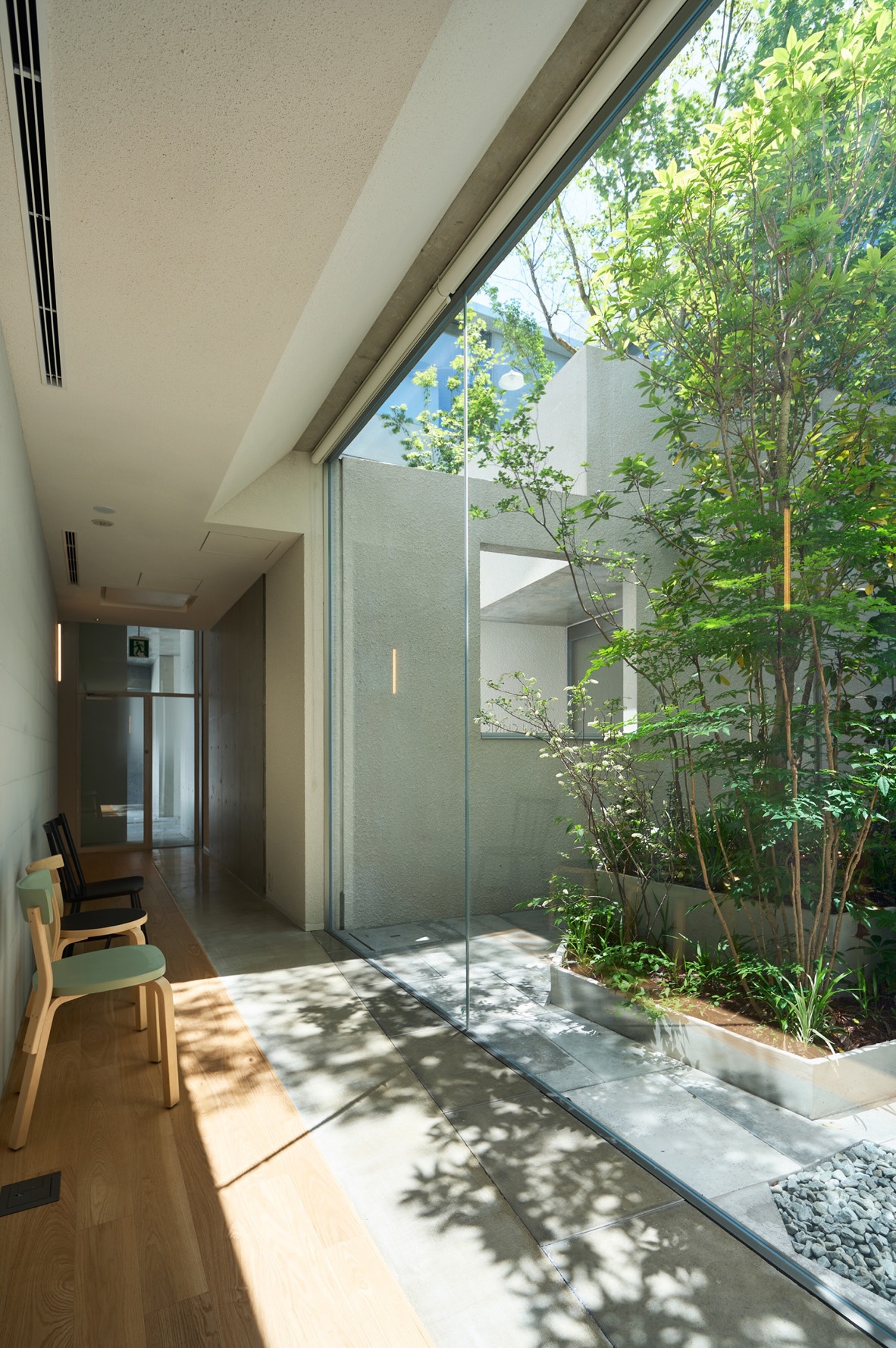 Interior hallway with full-height glass wall framing views of a densely planted interior courtyard