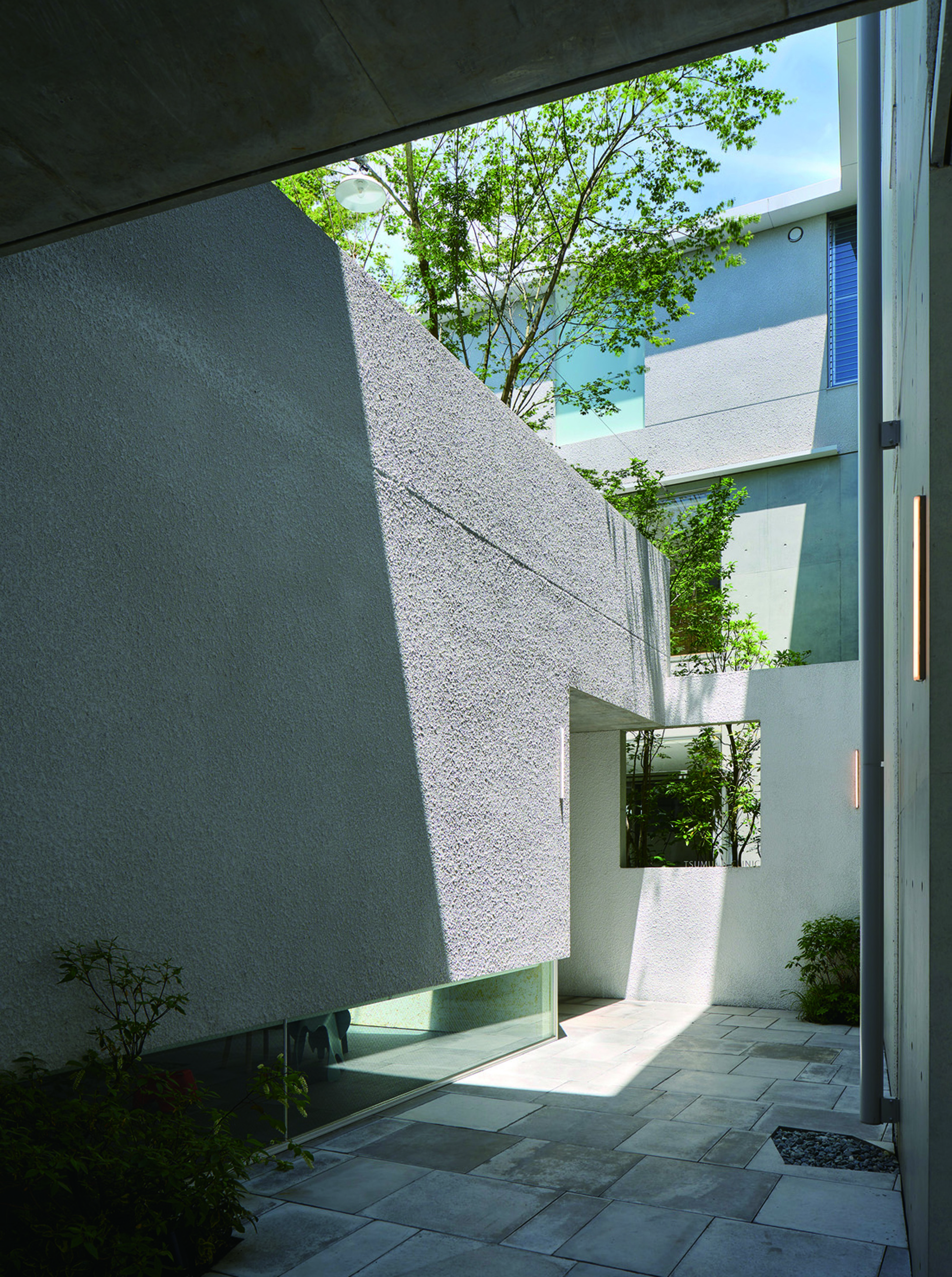 Interior courtyard with angled textured concrete walls and open sky framing a young tree