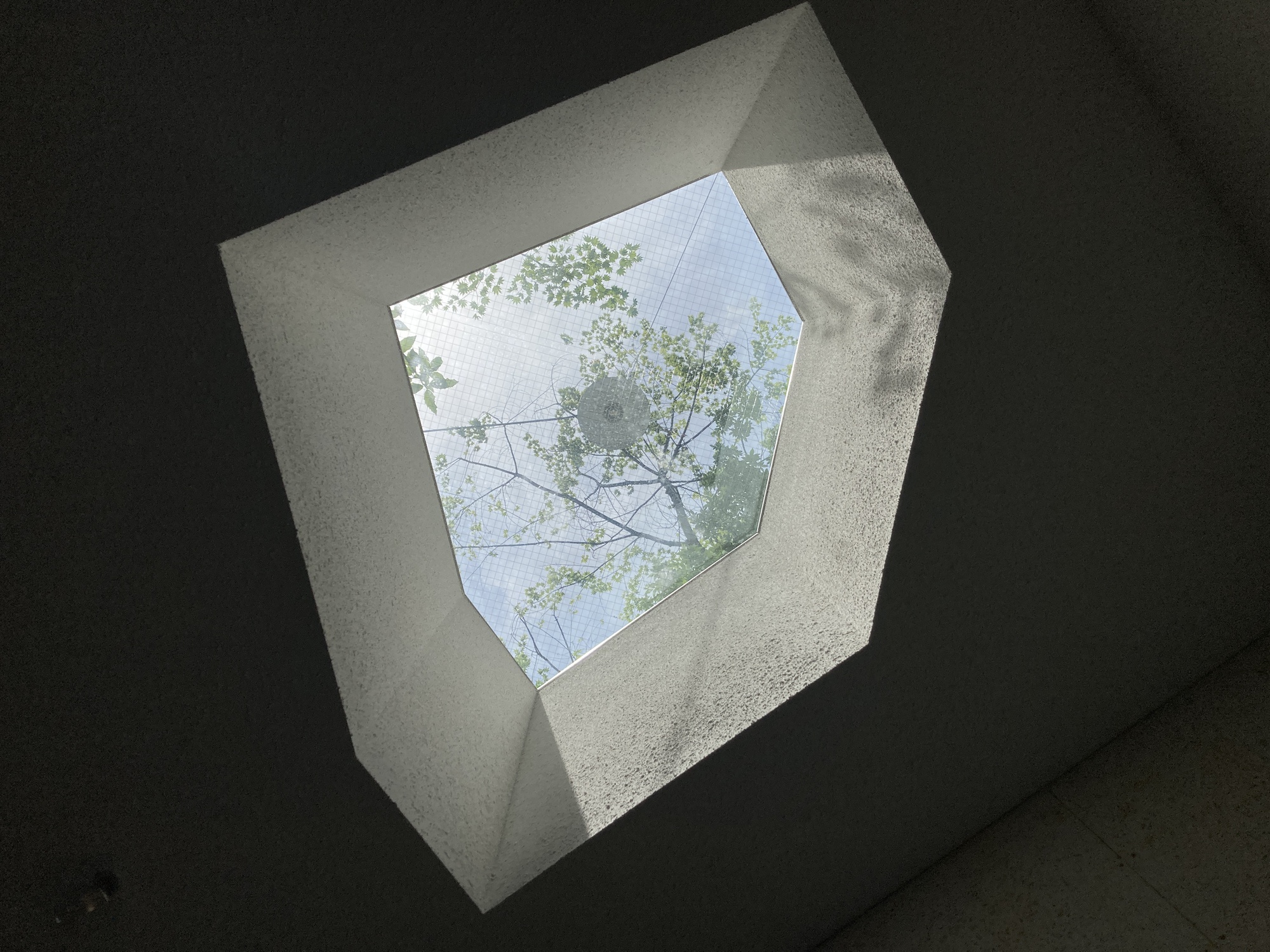 Looking up through an angular concrete skylight opening with tree branches visible against sky