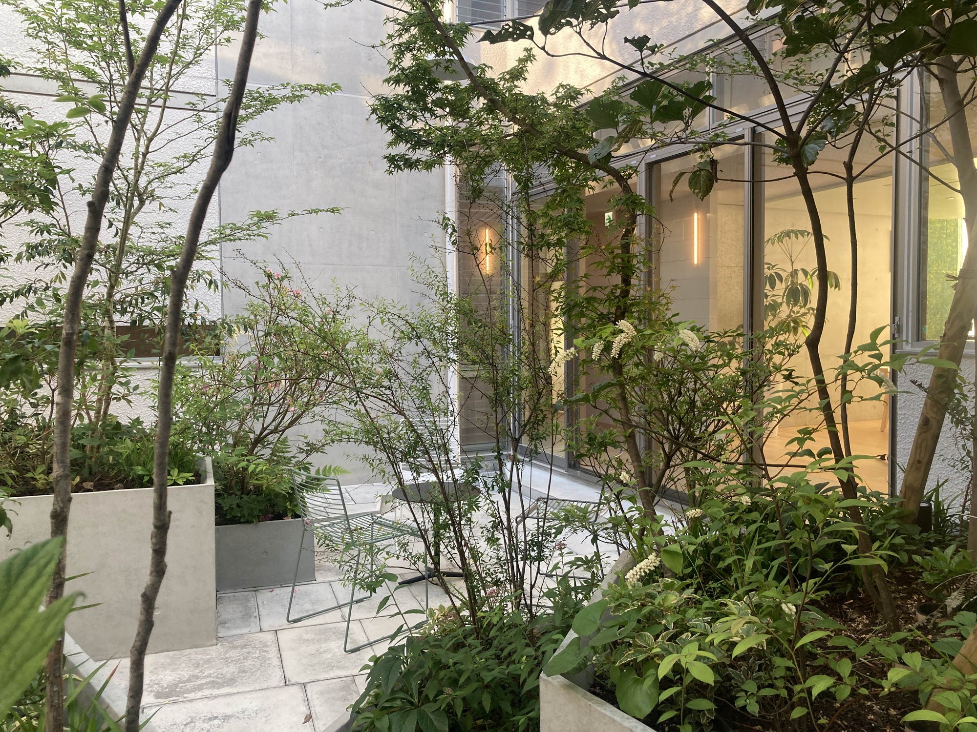 Courtyard with concrete planters, young trees and glazed facade at dusk