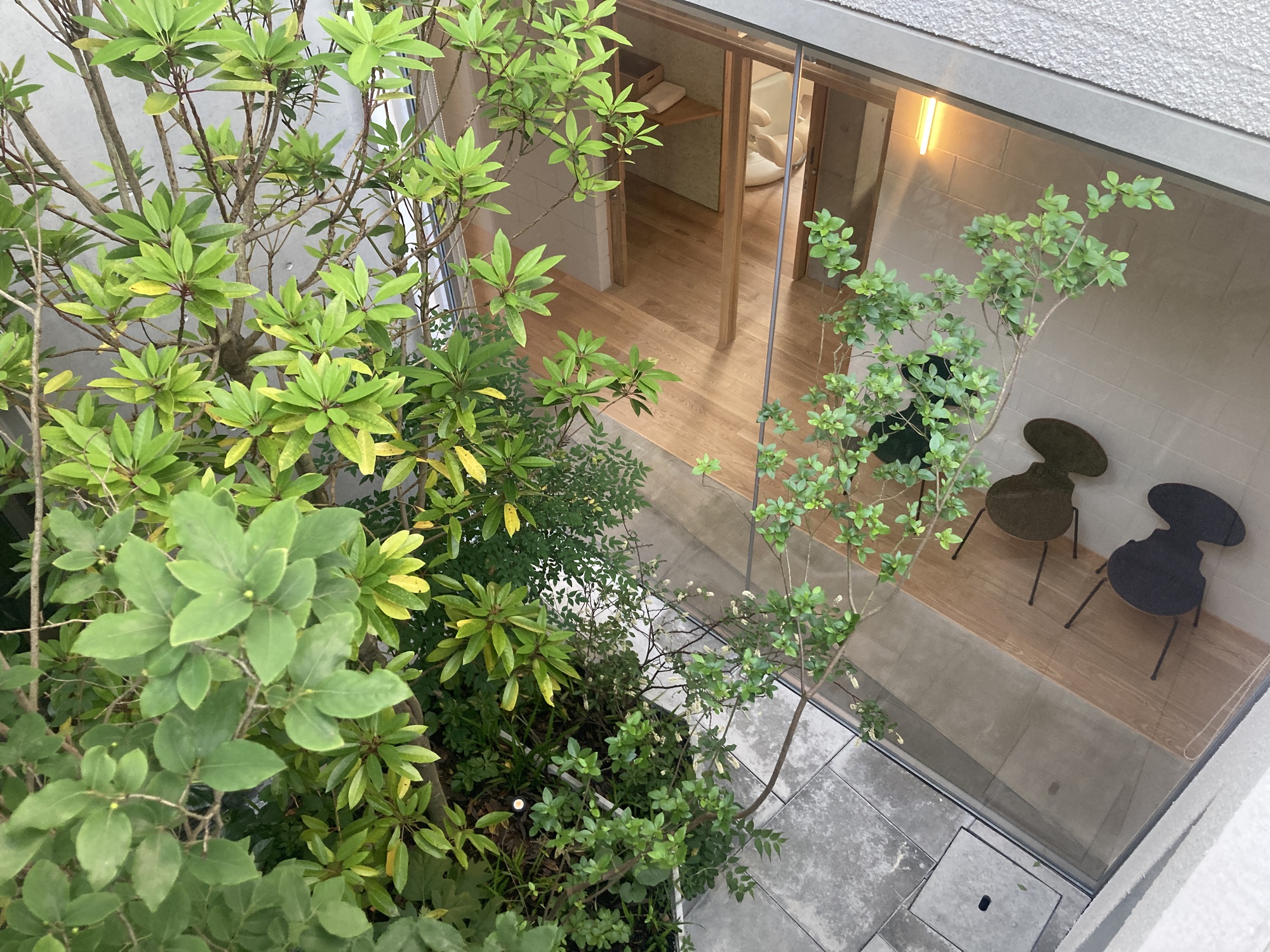 Overhead view of interior courtyard with planted beds, timber deck and dining chairs