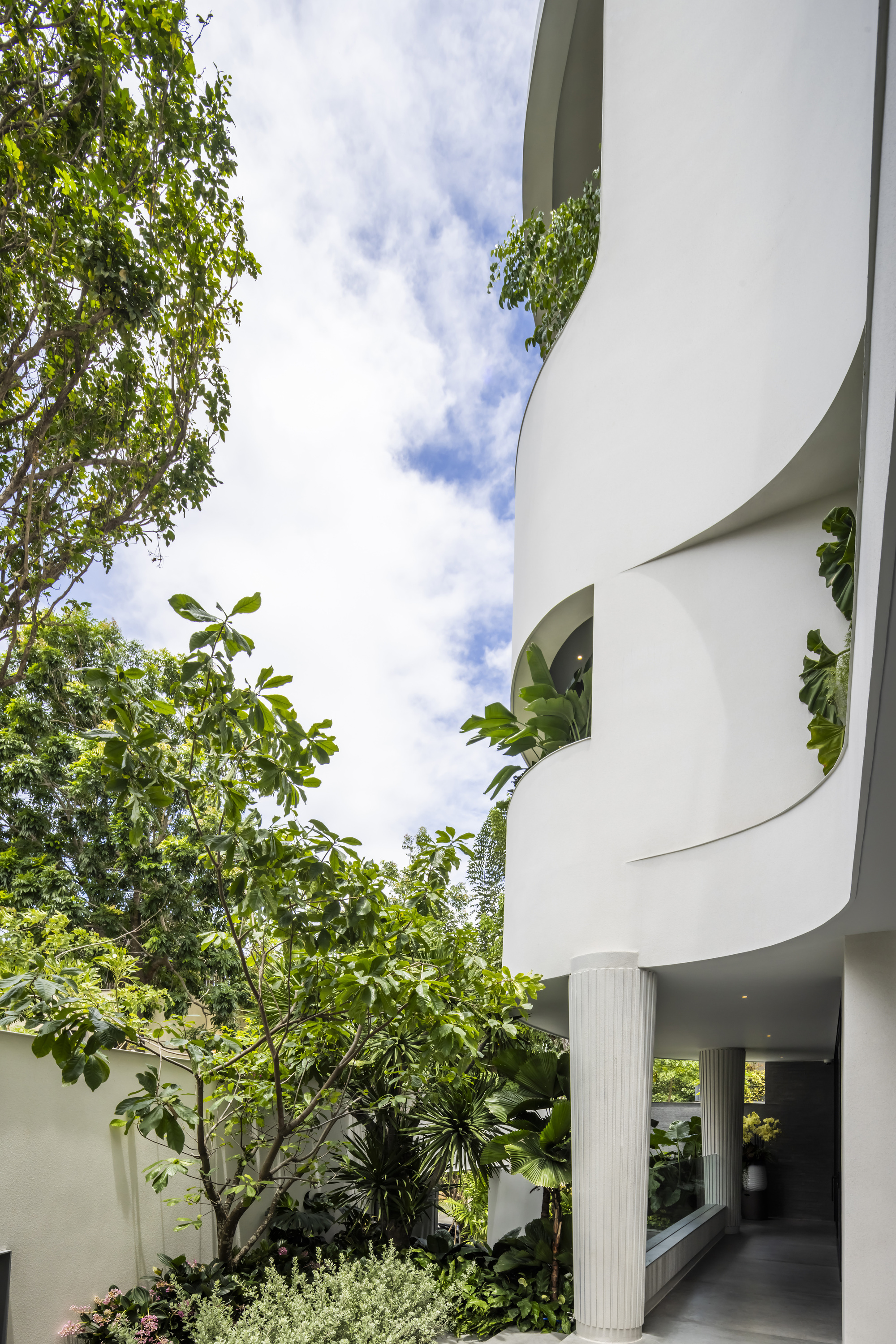 Upward view of spiraling white balconies with planted edges beside a deciduous tree