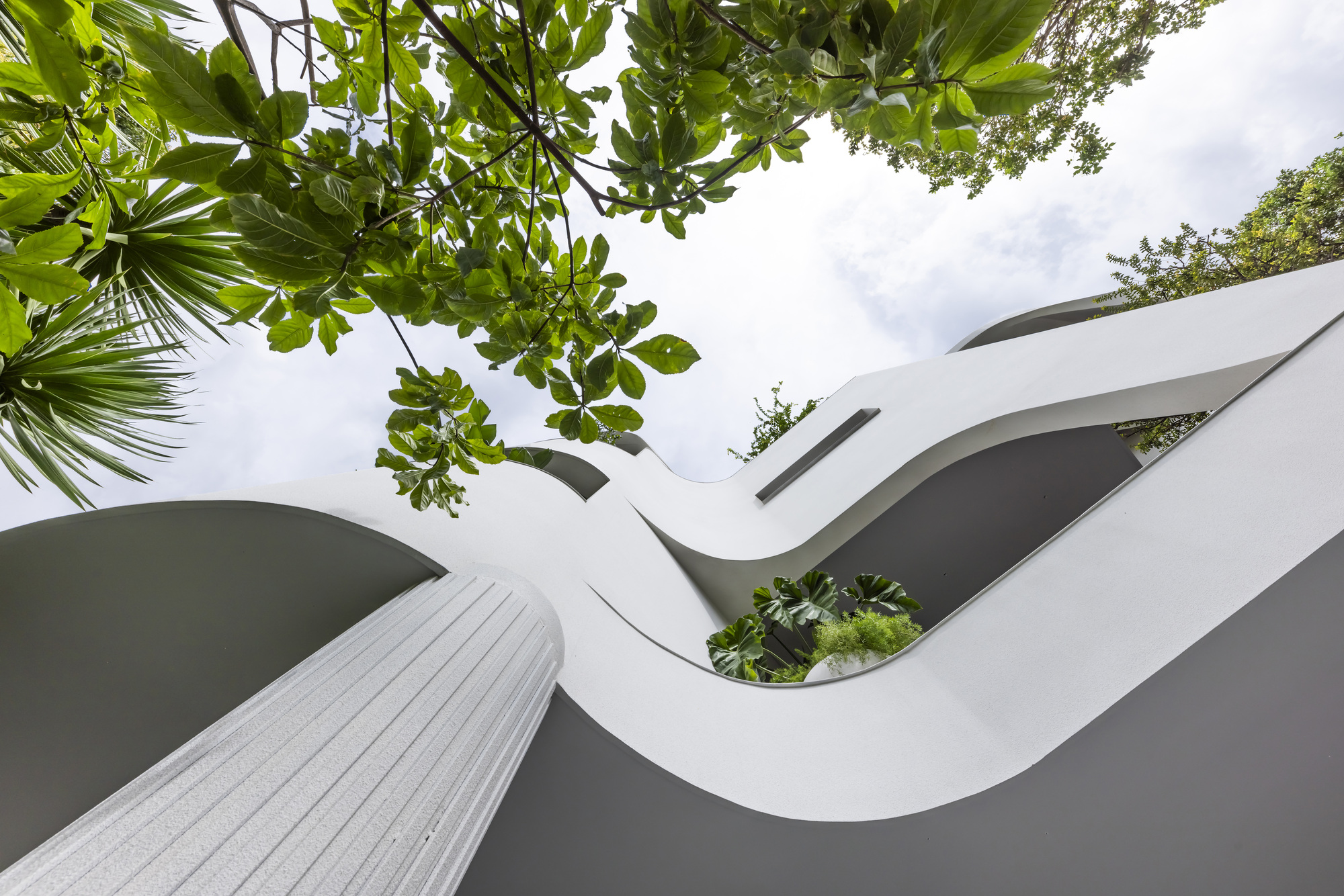 Worm's eye view of undulating white roof forms with planted openings framed by tropical foliage