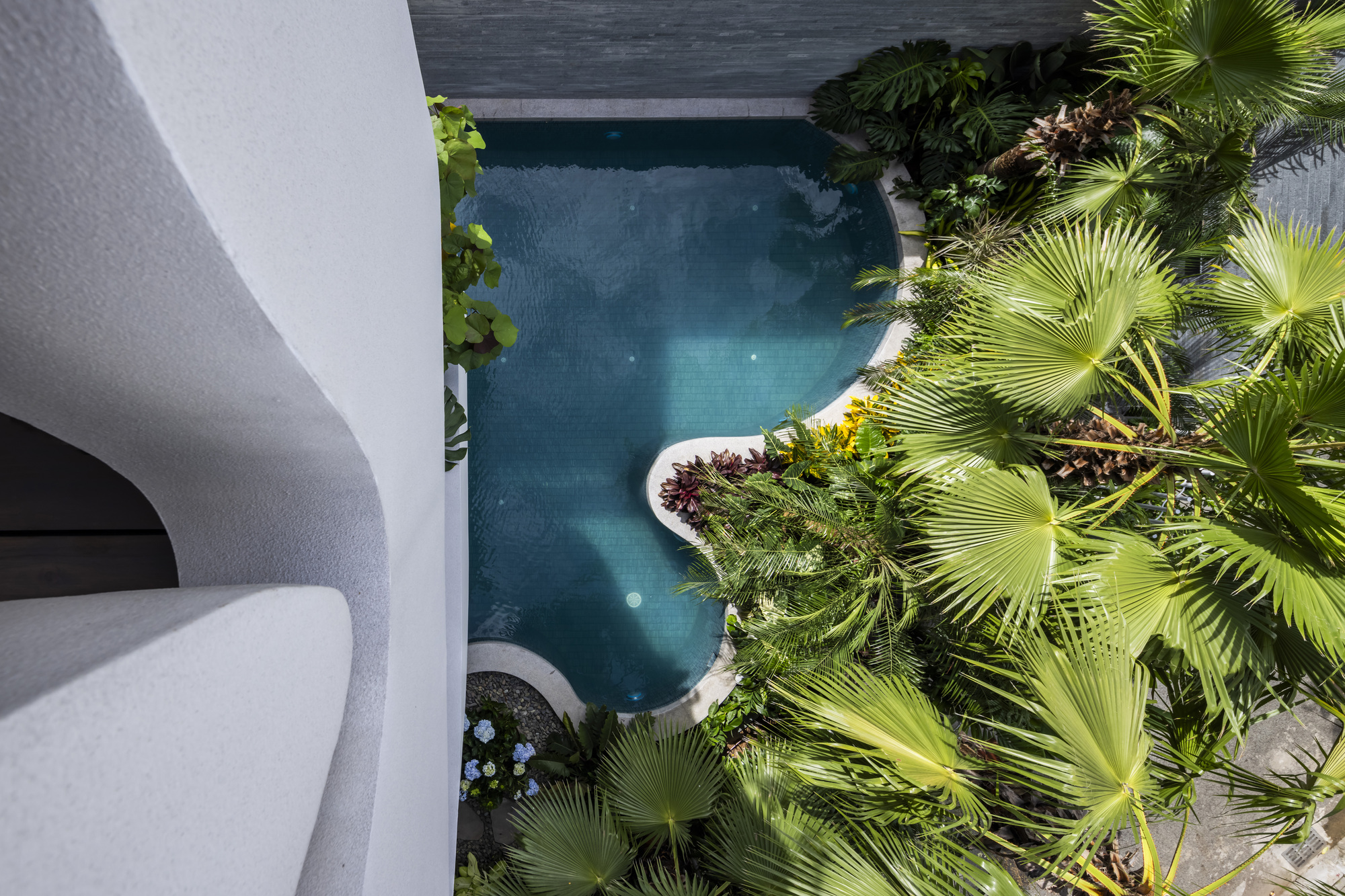 Aerial view of a freeform pool surrounded by palms and curved balconies