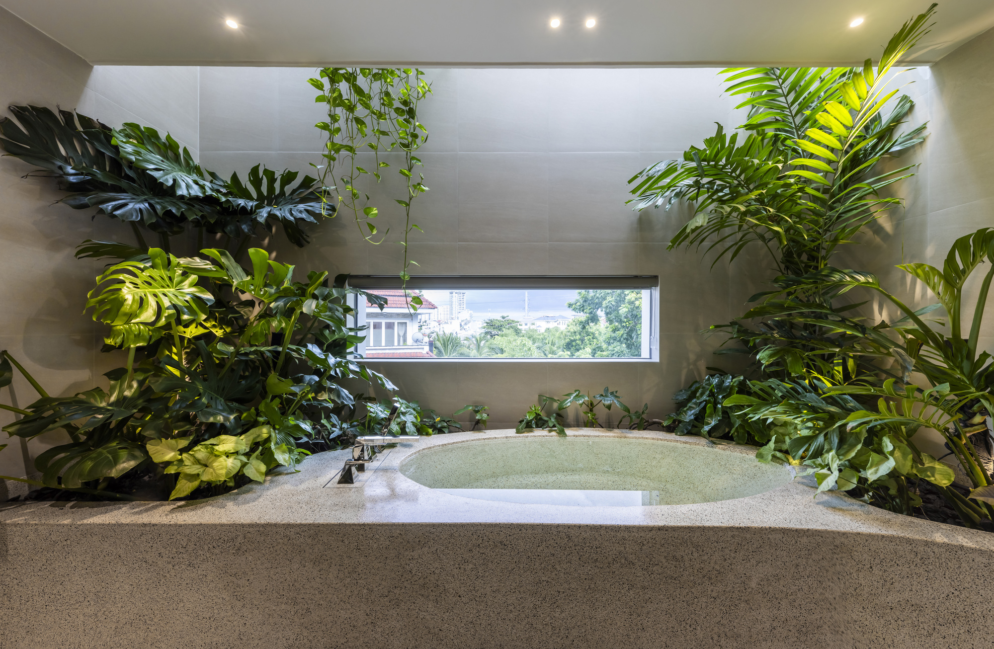 Bathtub surrounded by monstera and hanging vines beneath a skylight and horizontal window
