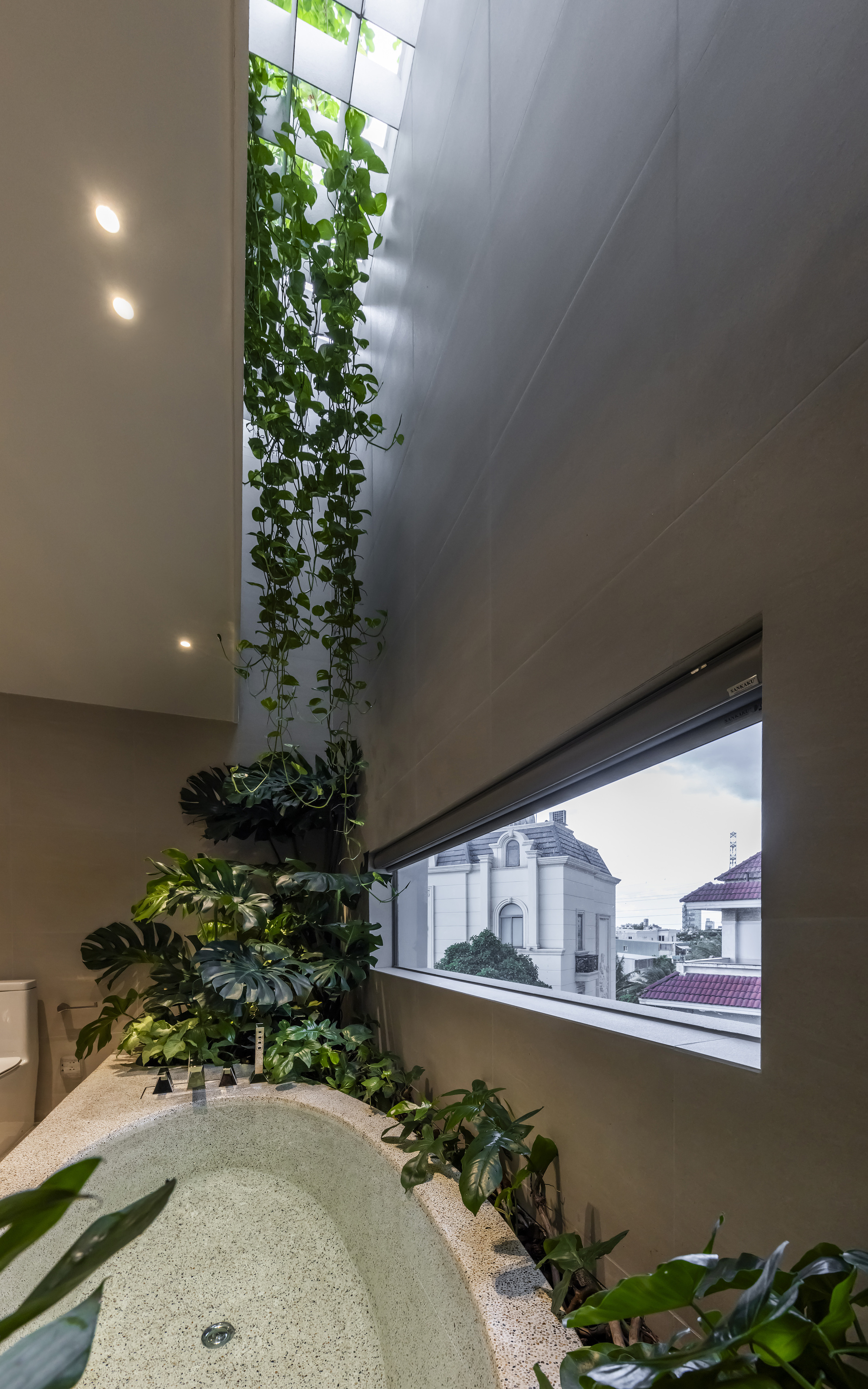 Double-height bathroom corner with trailing plants cascading from a skylight above the tub
