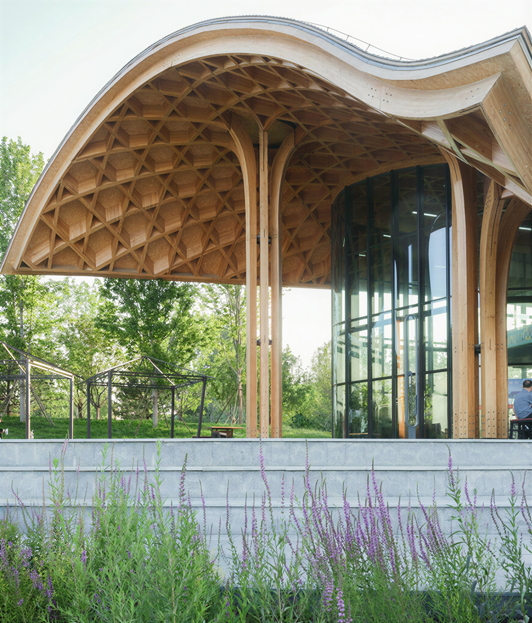 Detail of the coffered timber shell canopy with exposed arching columns beside floor-to-ceiling glazing and planted terrace edge