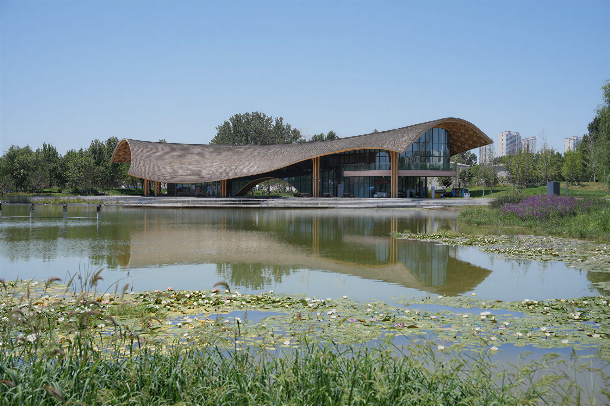 View across a lily-covered pond reflecting the curved timber roof pavilion with surrounding trees and distant towers