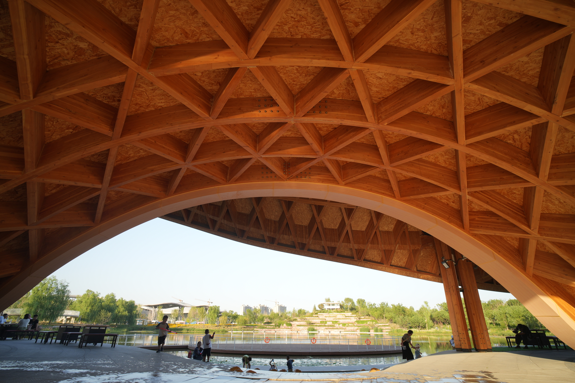 Interior view of the coffered timber gridshell ceiling framing the pond and landscape with visitors below