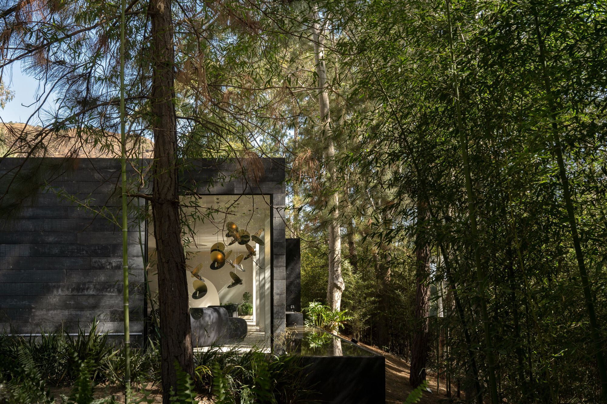 Concrete facade with floor-to-ceiling glazing framed by tall trees in dappled sunlight