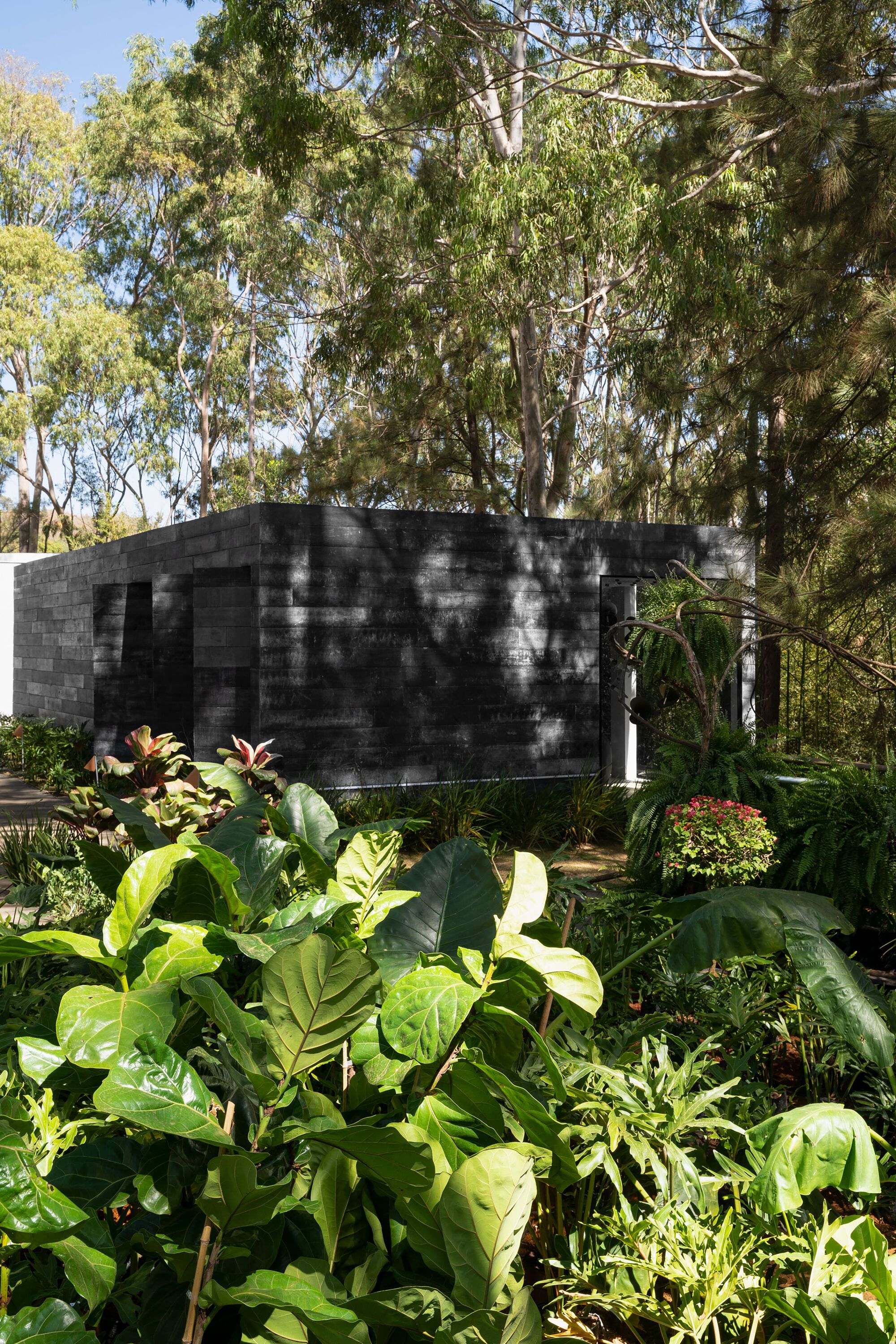 Board-formed concrete volume behind a planted garden bed with tropical foliage and bromeliads