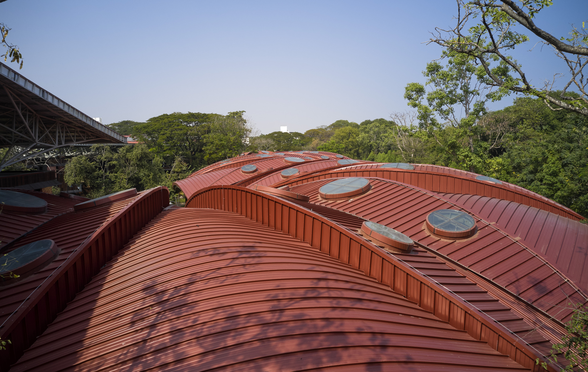 Elevated view of the ribbed copper-colored roof forms with circular skylights against surrounding forest canopy