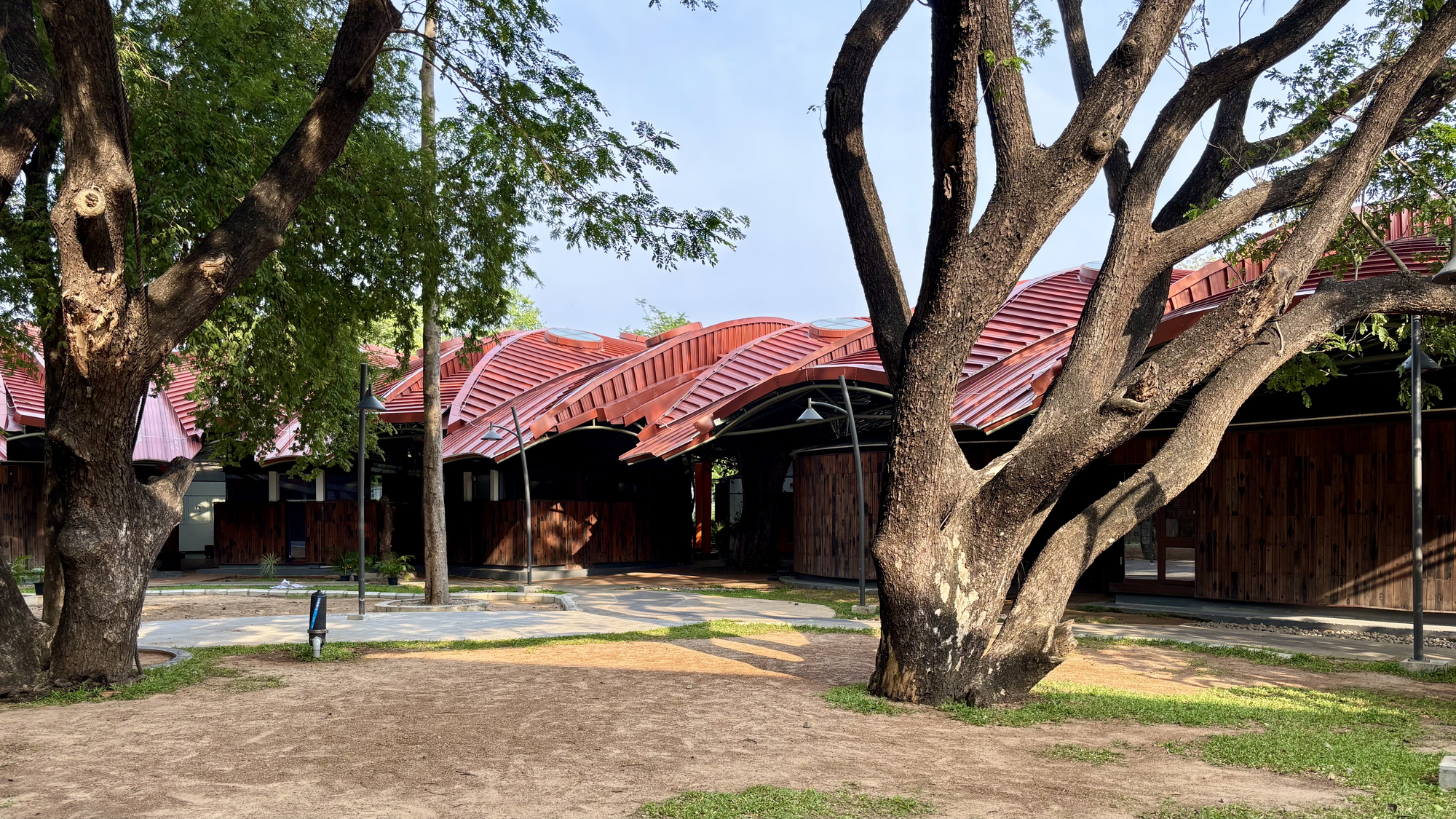 Courtyard view framed by branching trees with the curved metal roof canopy above timber-clad volumes
