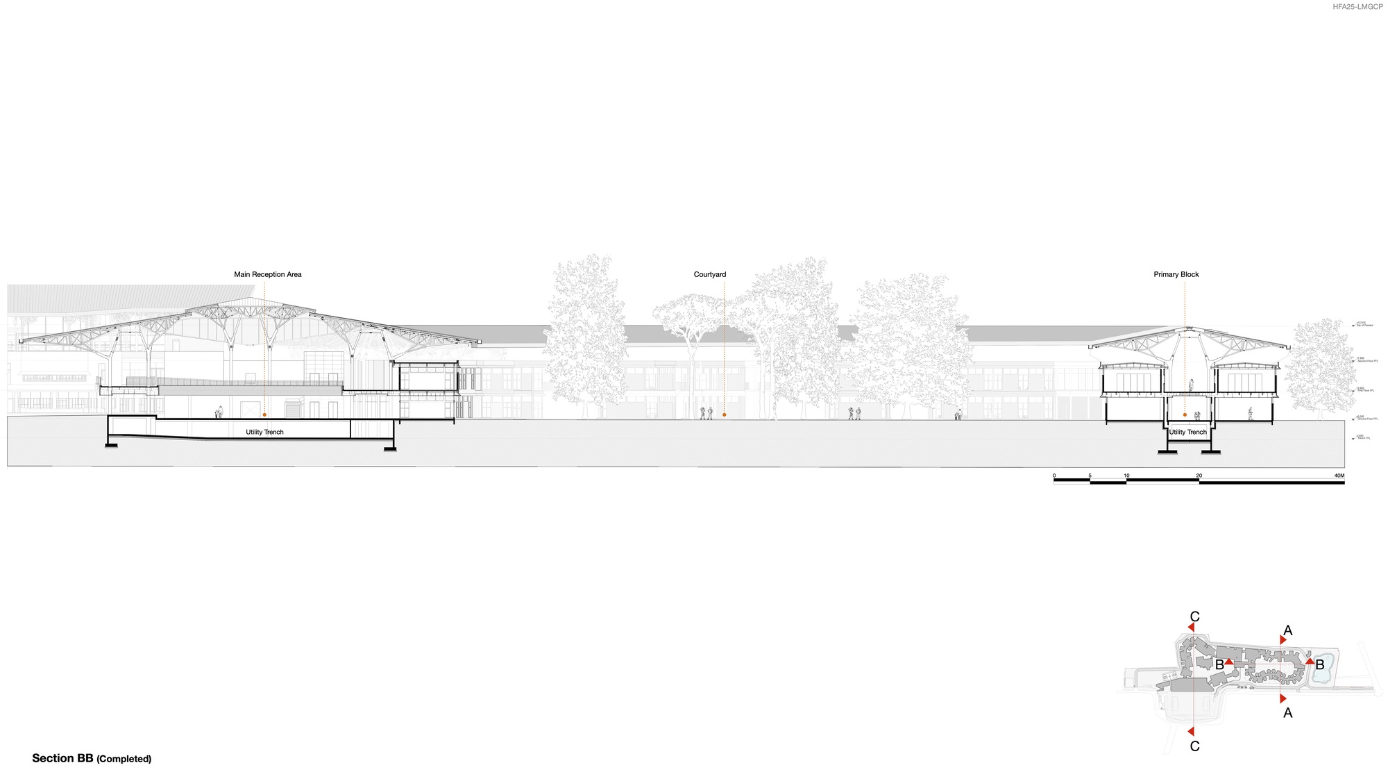 Building section drawing showing the relationship between blocks with trees in the courtyard