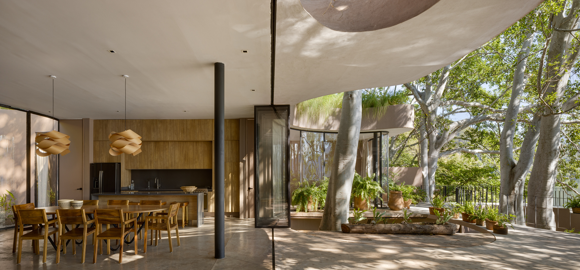 Interior view through glazed walls to the circular planted courtyard with dappled afternoon sunlight
