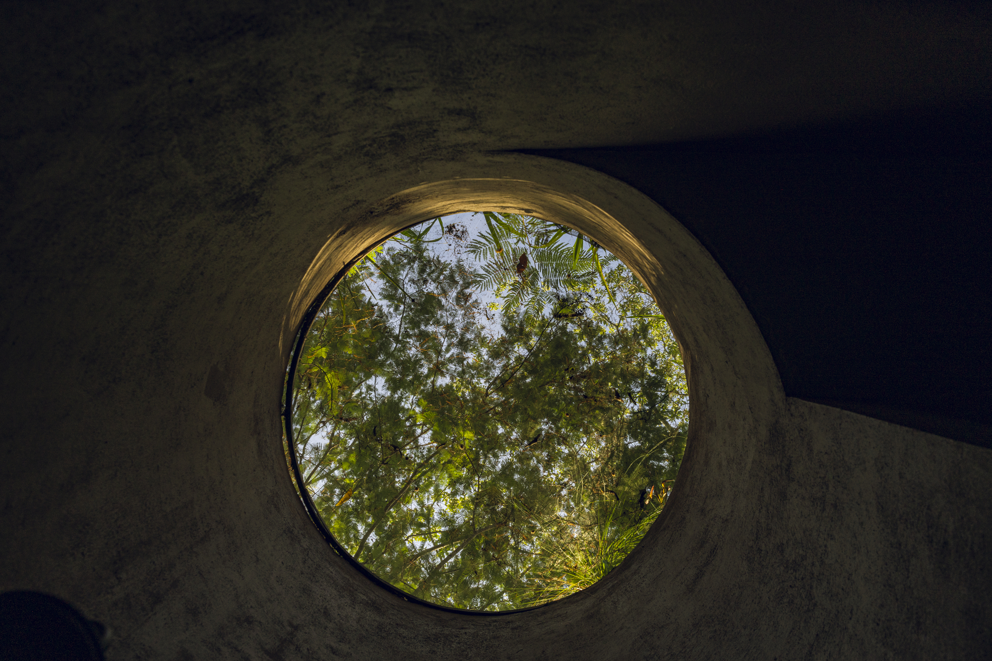 Upward view through a circular skylight framing tree canopy and sky from below