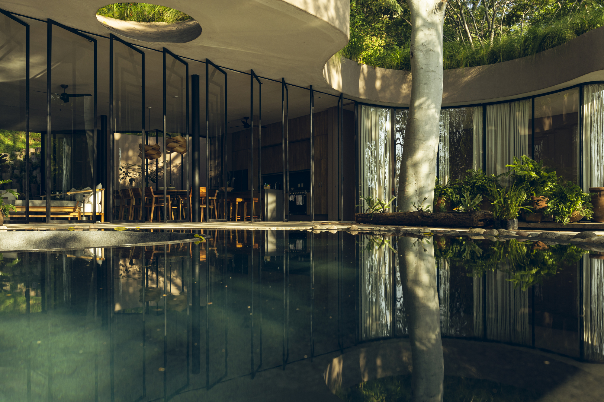 Reflecting pool mirroring the glass curtain wall and tree shadows in afternoon sunlight
