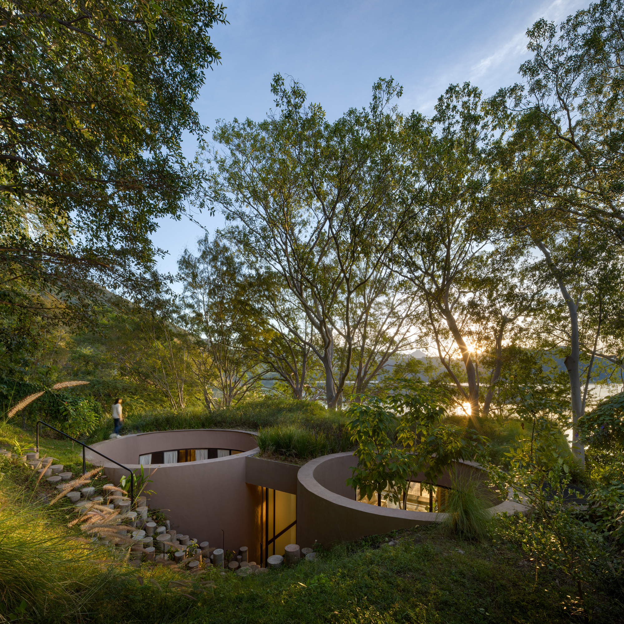 Two curved volumes embedded in a hillside garden beneath overhanging trees at sunset